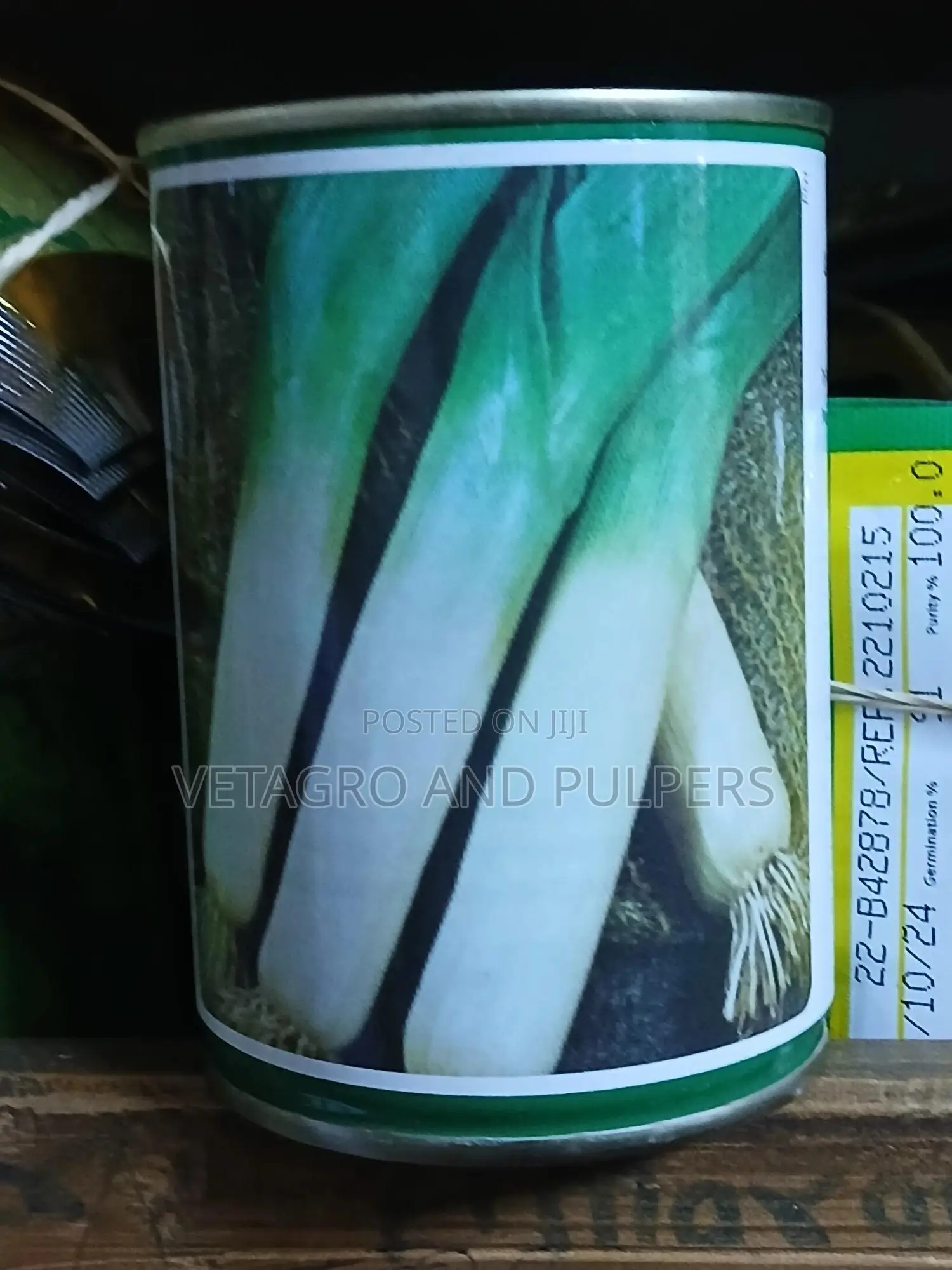 Leek Large Long Summer 2
