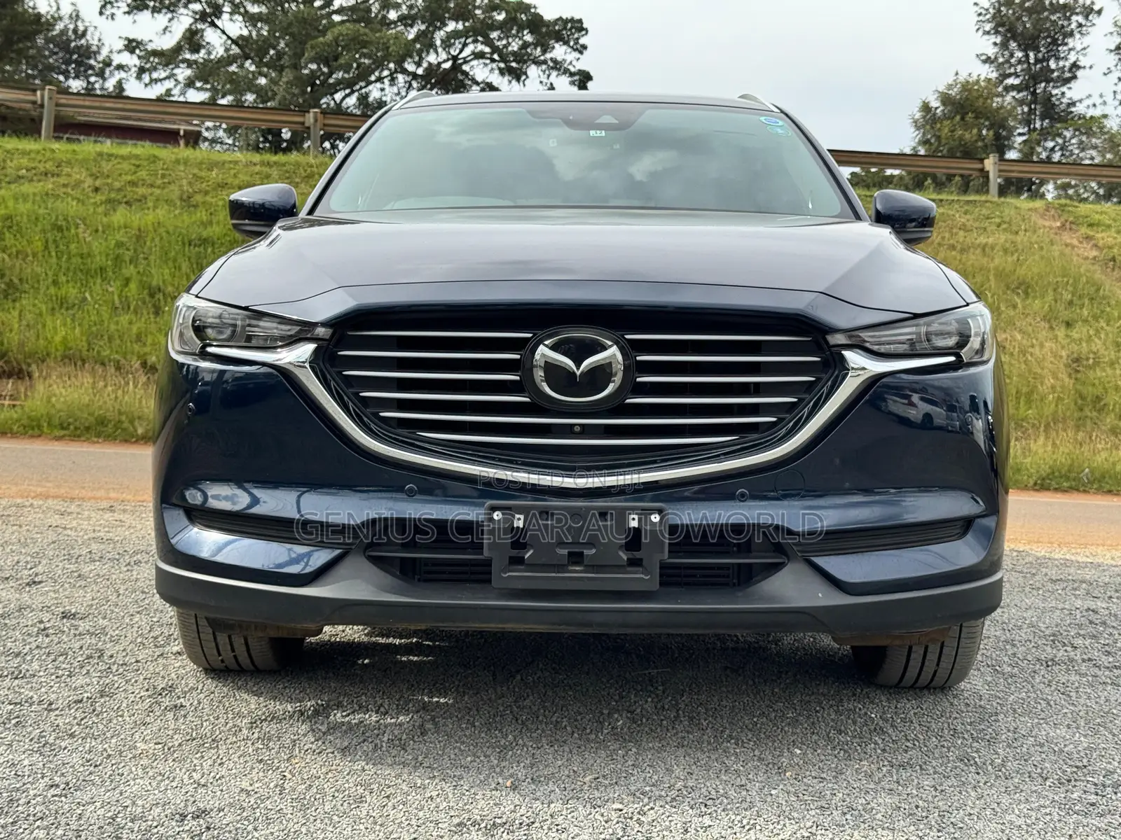 Mazda CX-8 2018 Blue