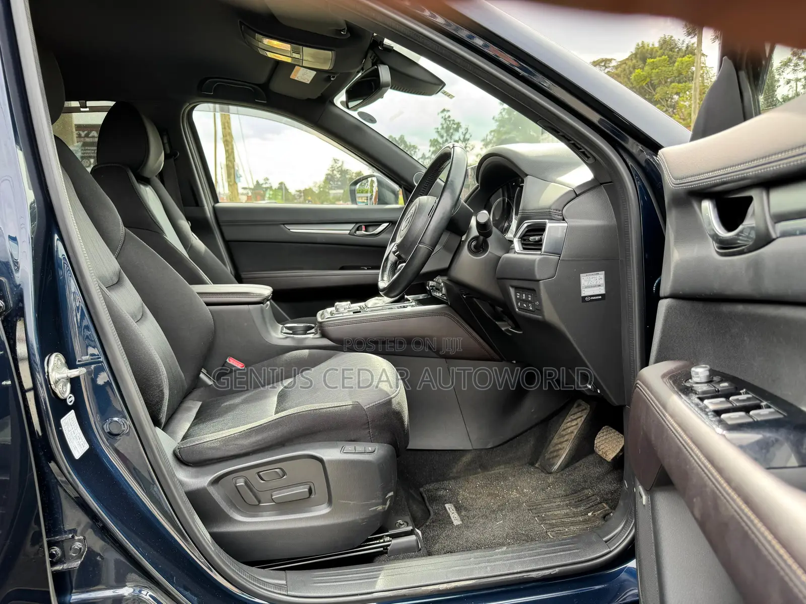 Mazda CX-8 2018 Blue