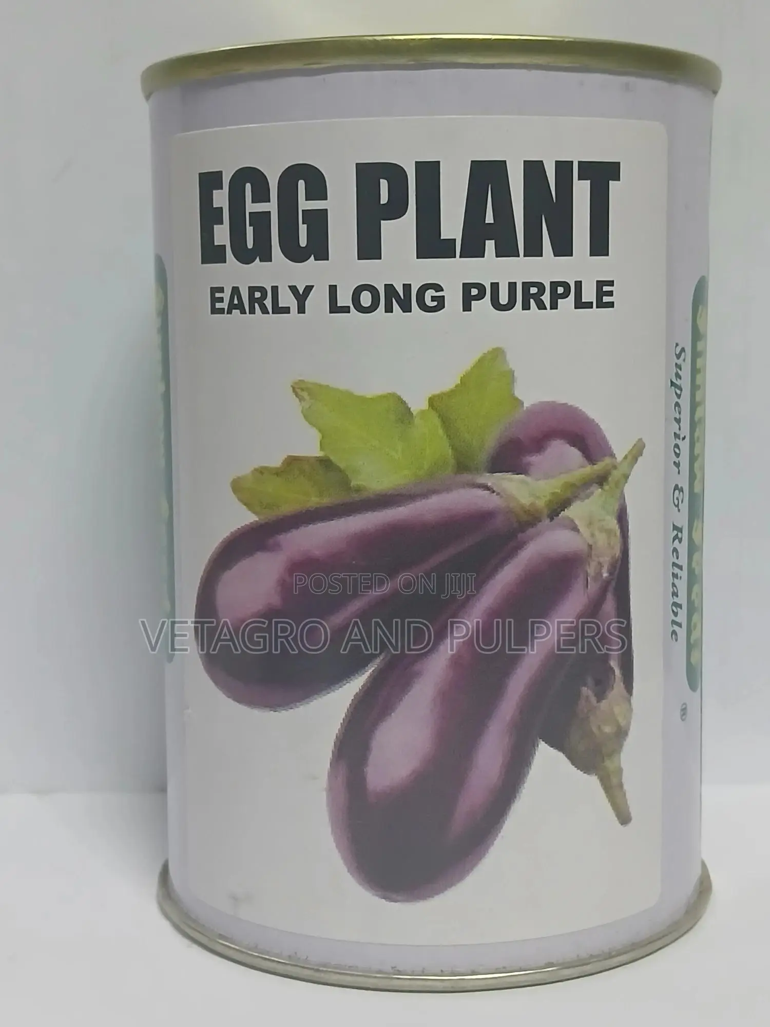 Egg Plant (Early Long Purple)
