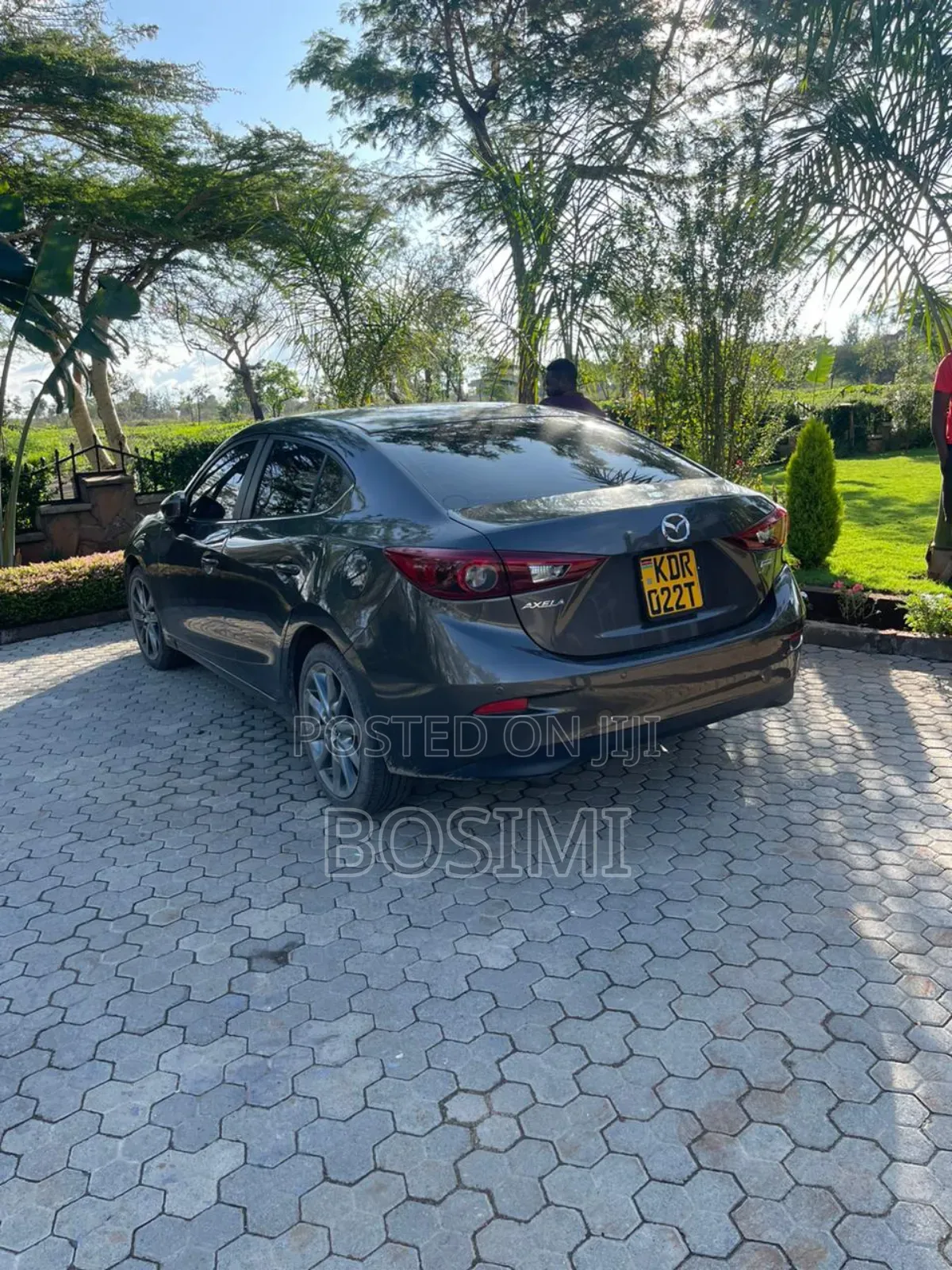 Small Cars for Hire