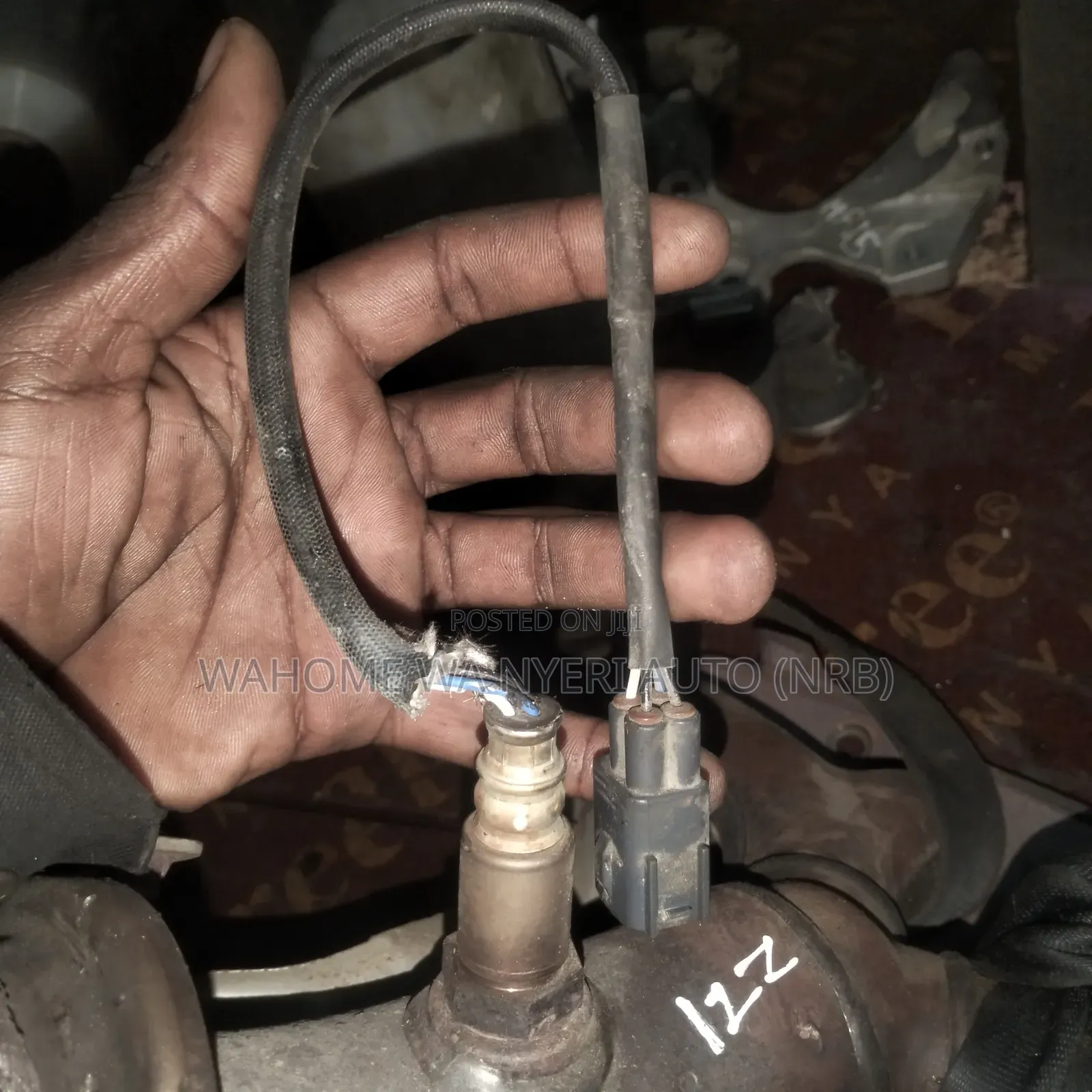Oxygen Sensor Wish,Premio 1zz