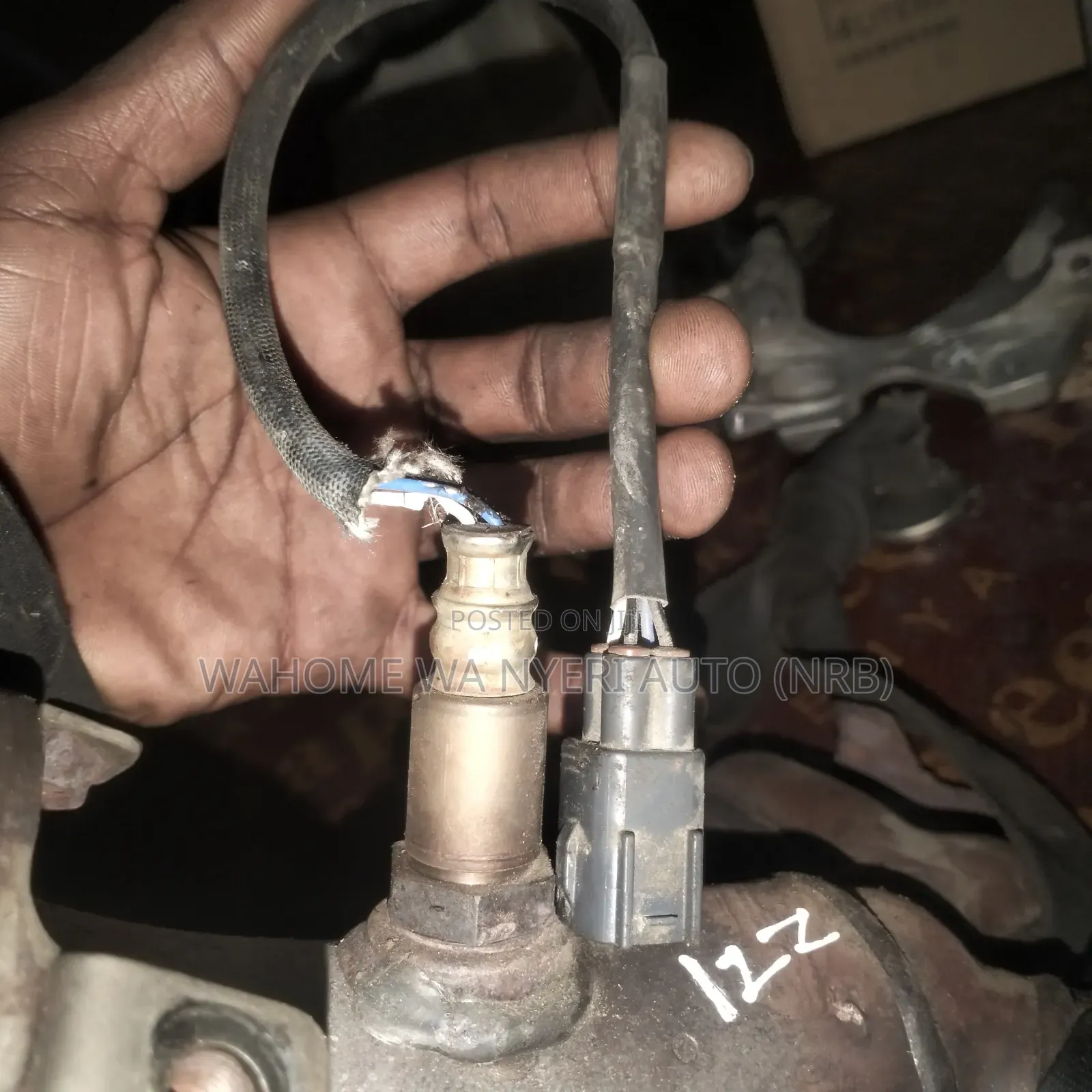 Oxygen Sensor Wish,Premio 1zz