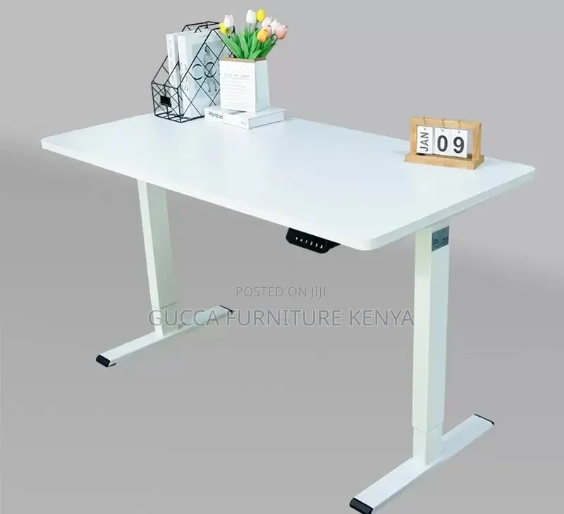 Office Desk:120cm Electric Rise-and-Fall Work Office Desk