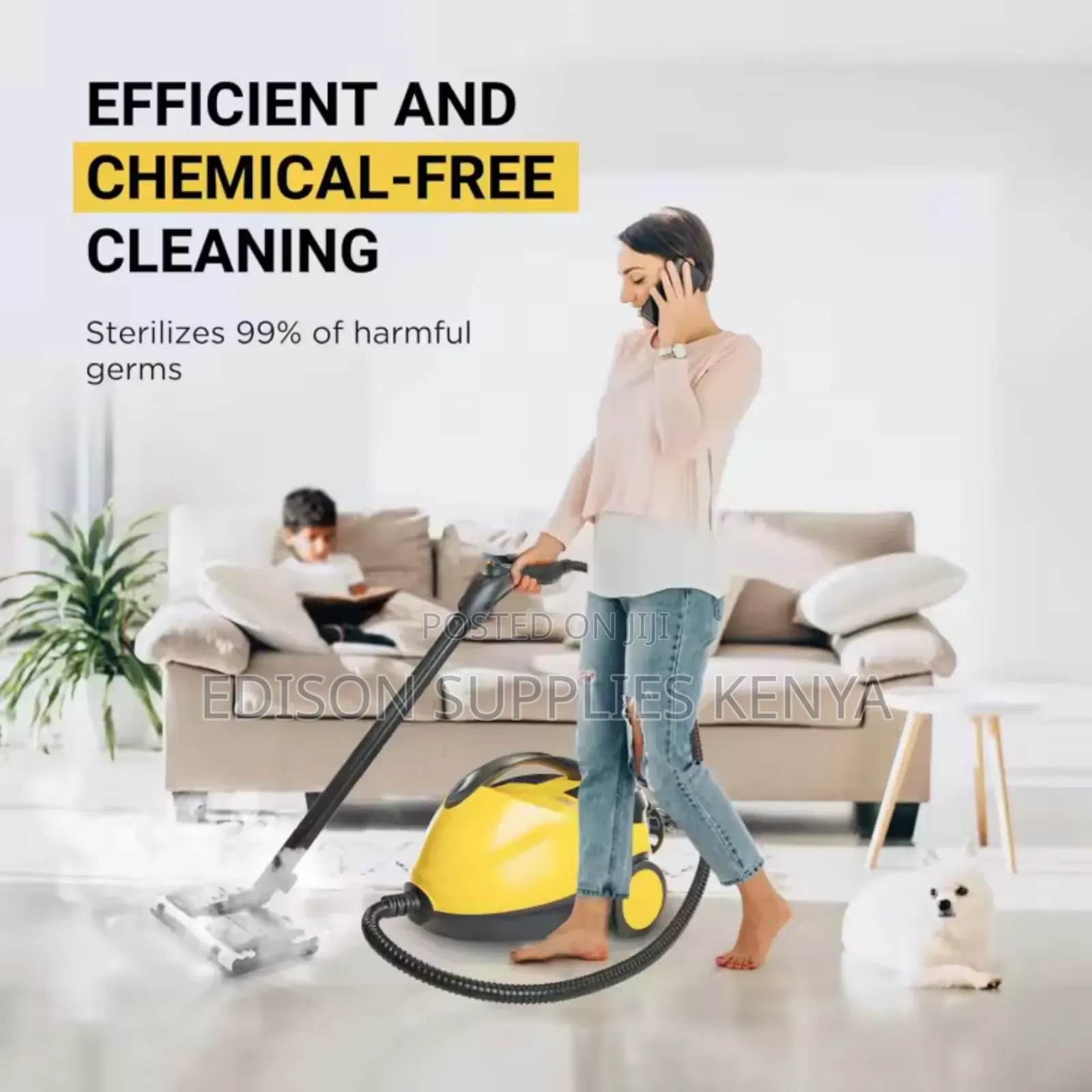 Steam Cleaner 2000w High Pressure Steam Wash Machine
