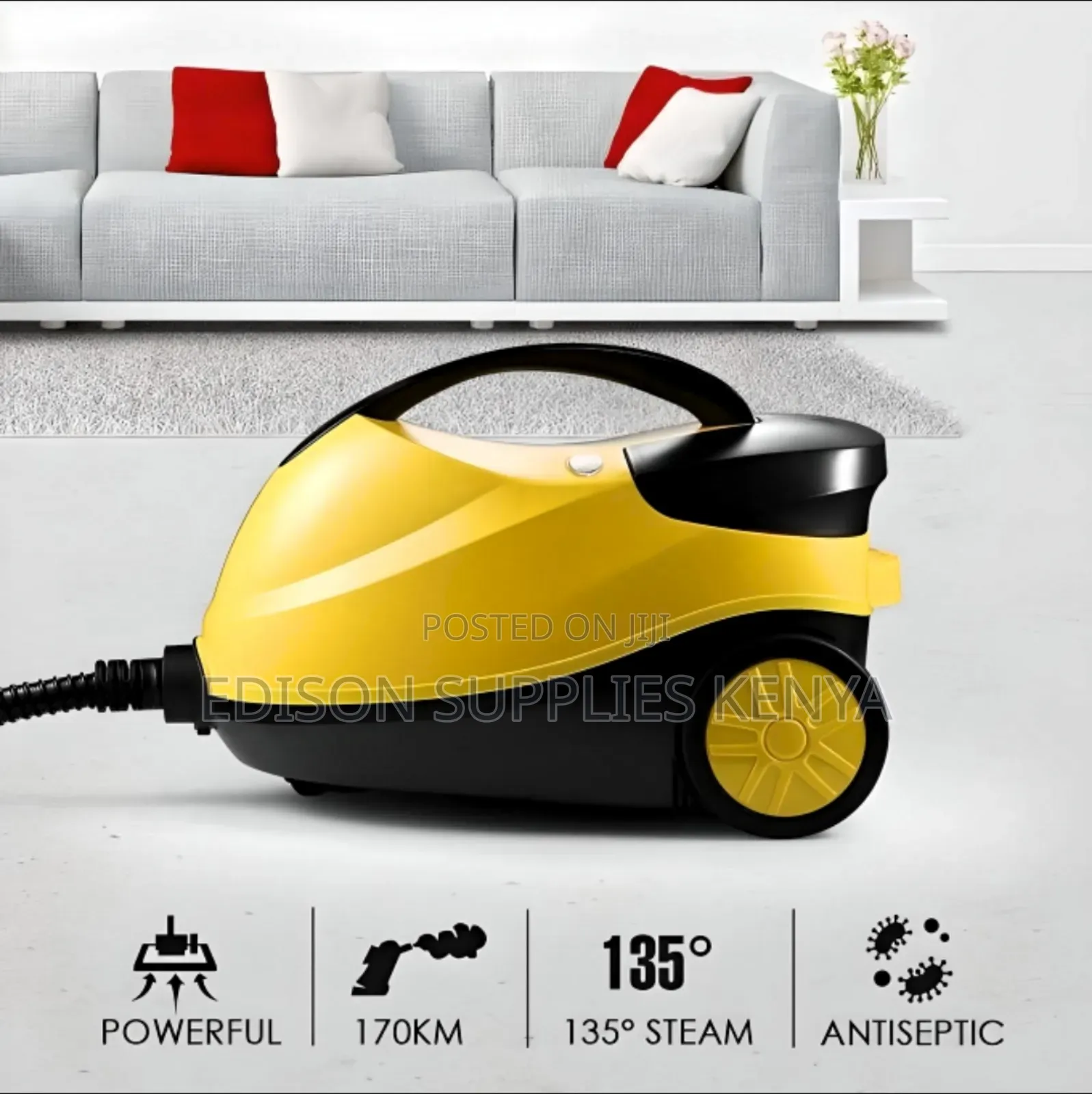 Steam Cleaner 2000w High Pressure Steam Wash Machine