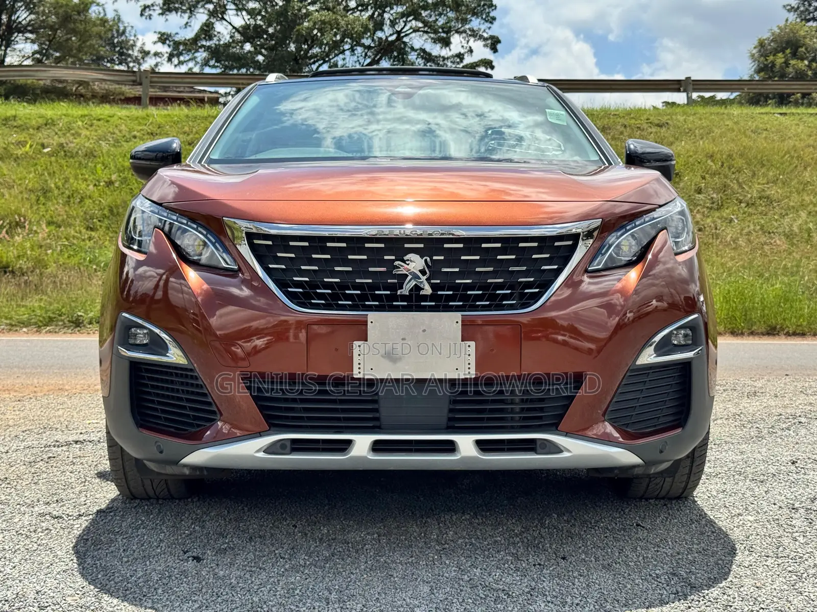 Peugeot 3008 2018 Brown
