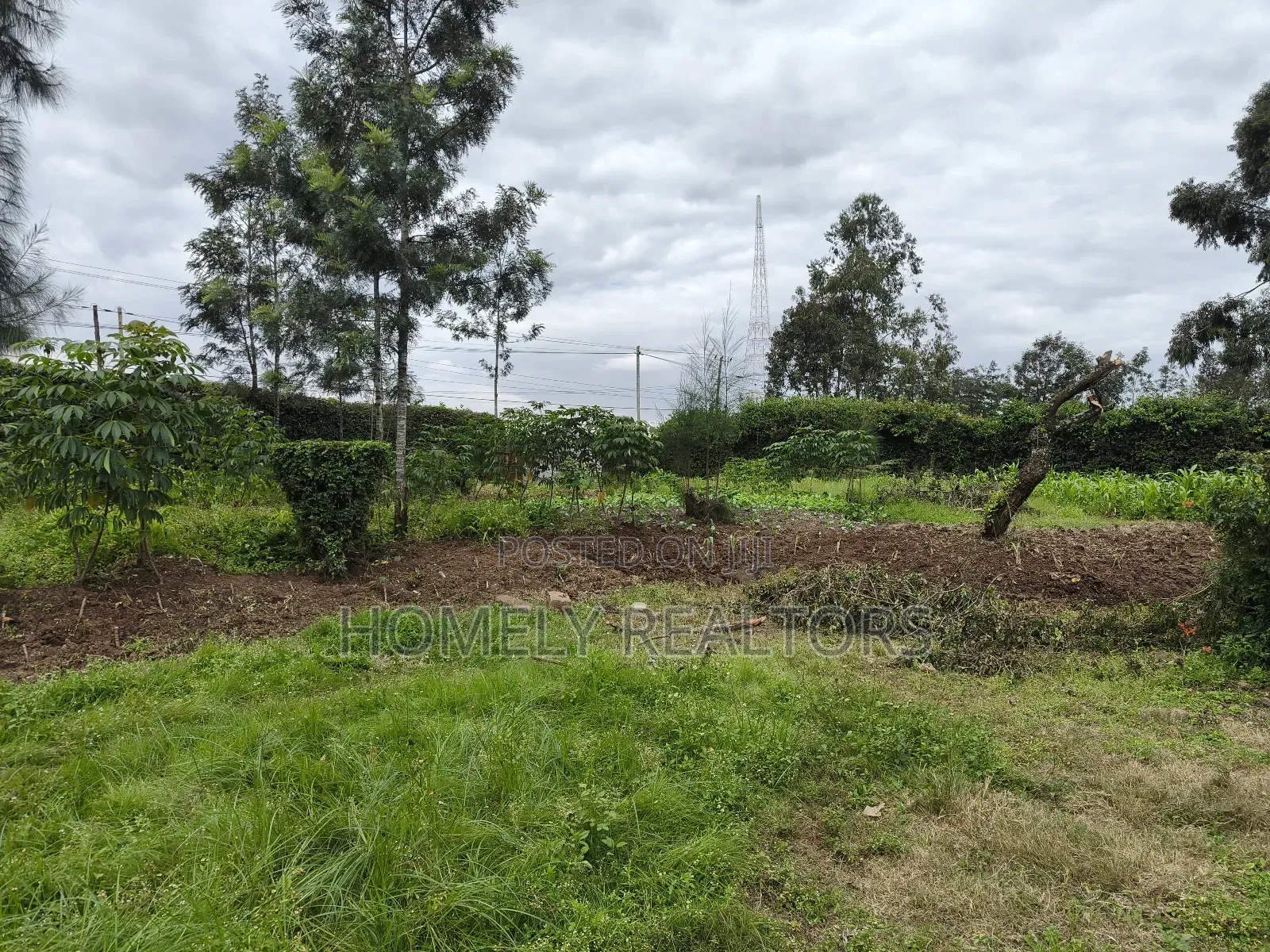 Quarter Acre Plot in Ngong, Kerarapon Drive Touching Tarmac