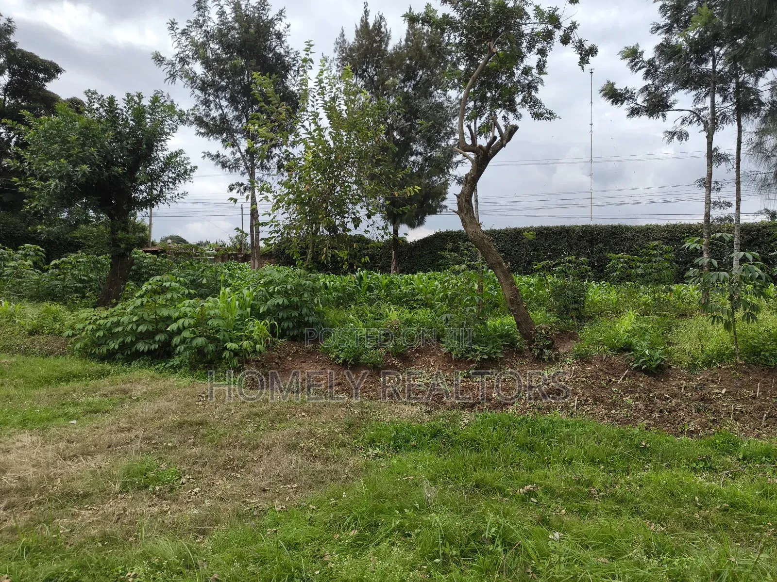 Quarter Acre Plot in Ngong, Kerarapon Drive Touching Tarmac