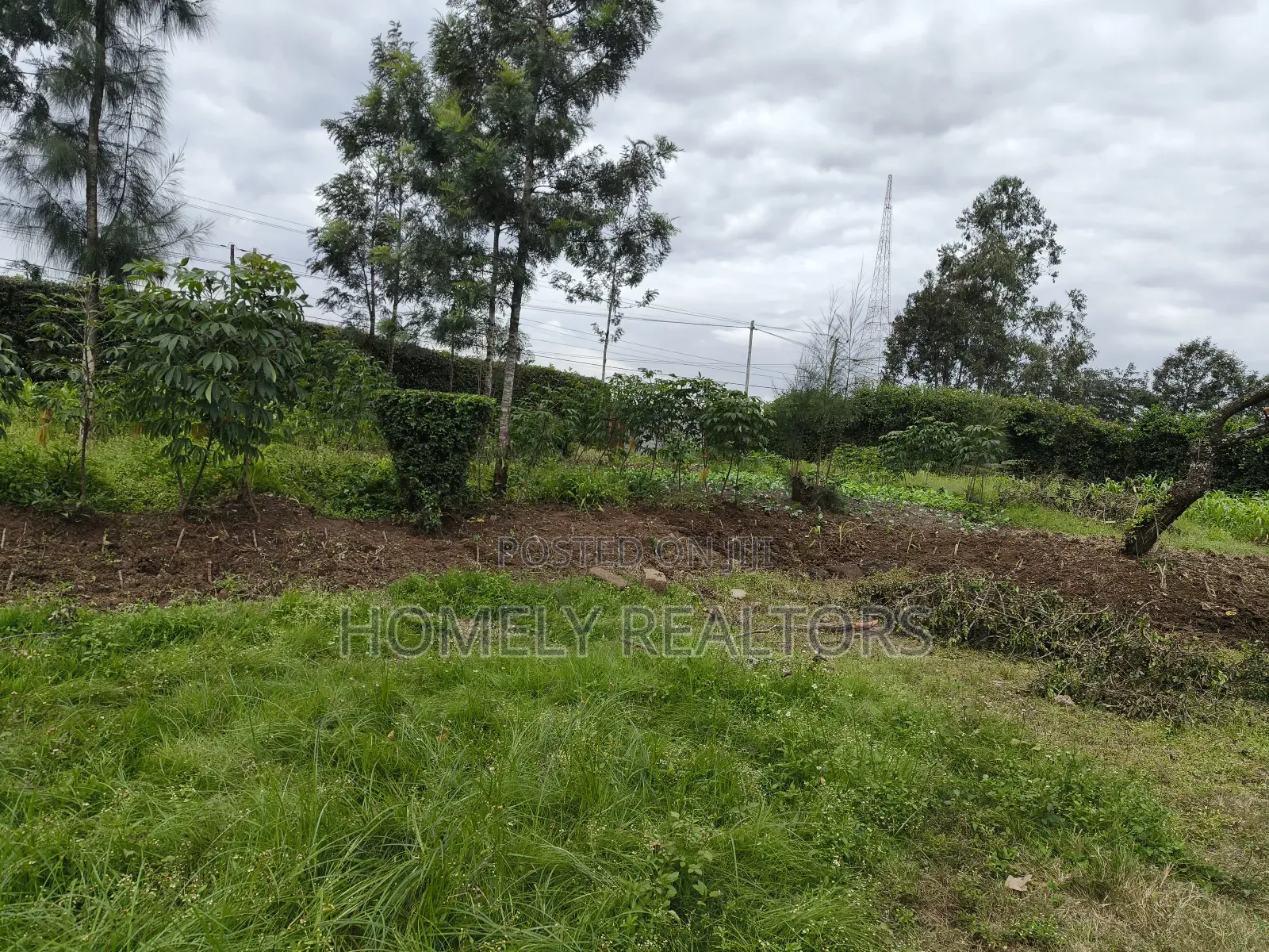 Quarter Acre Plot in Ngong, Kerarapon Drive Touching Tarmac