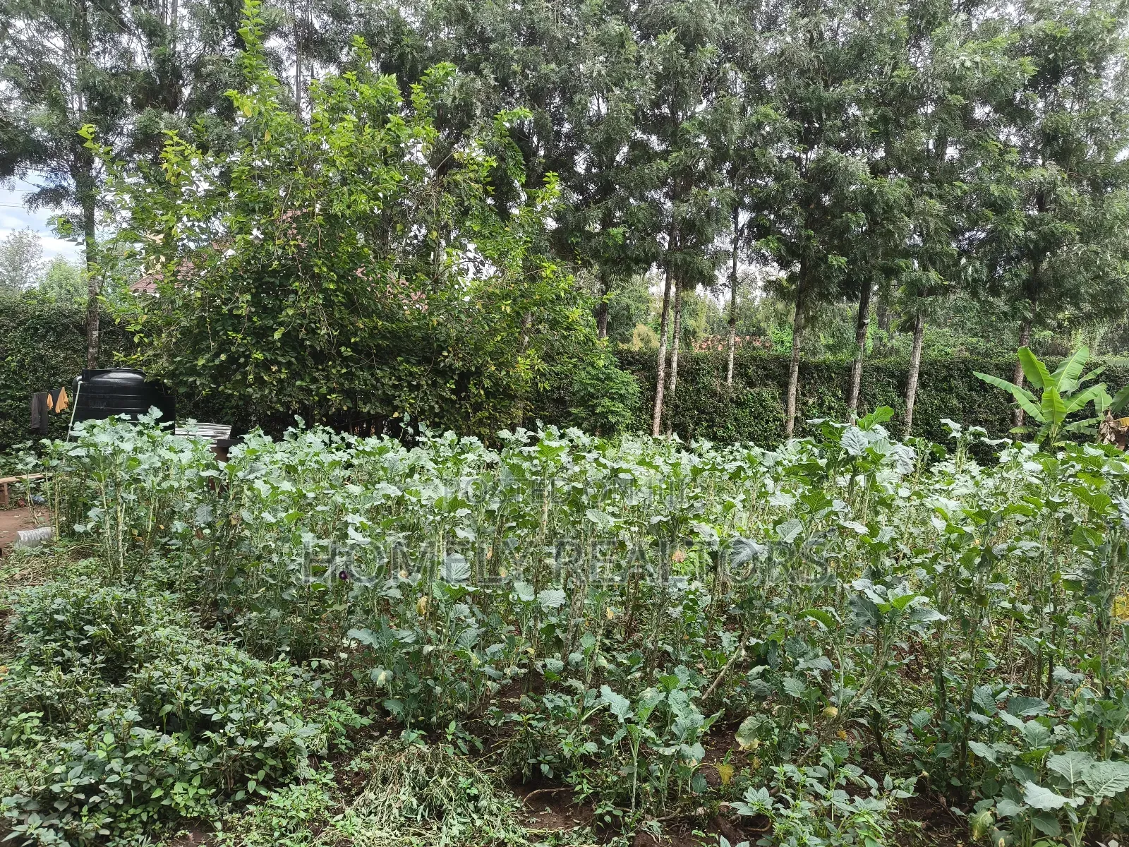 Quarter Acre Plot in Ngong, Kerarapon Drive Touching Tarmac