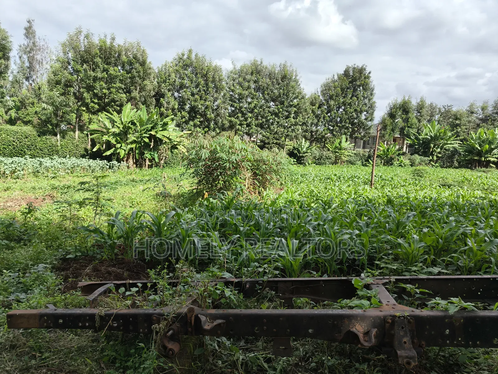 Quarter Acre Plot in Ngong, Kerarapon Drive Touching Tarmac