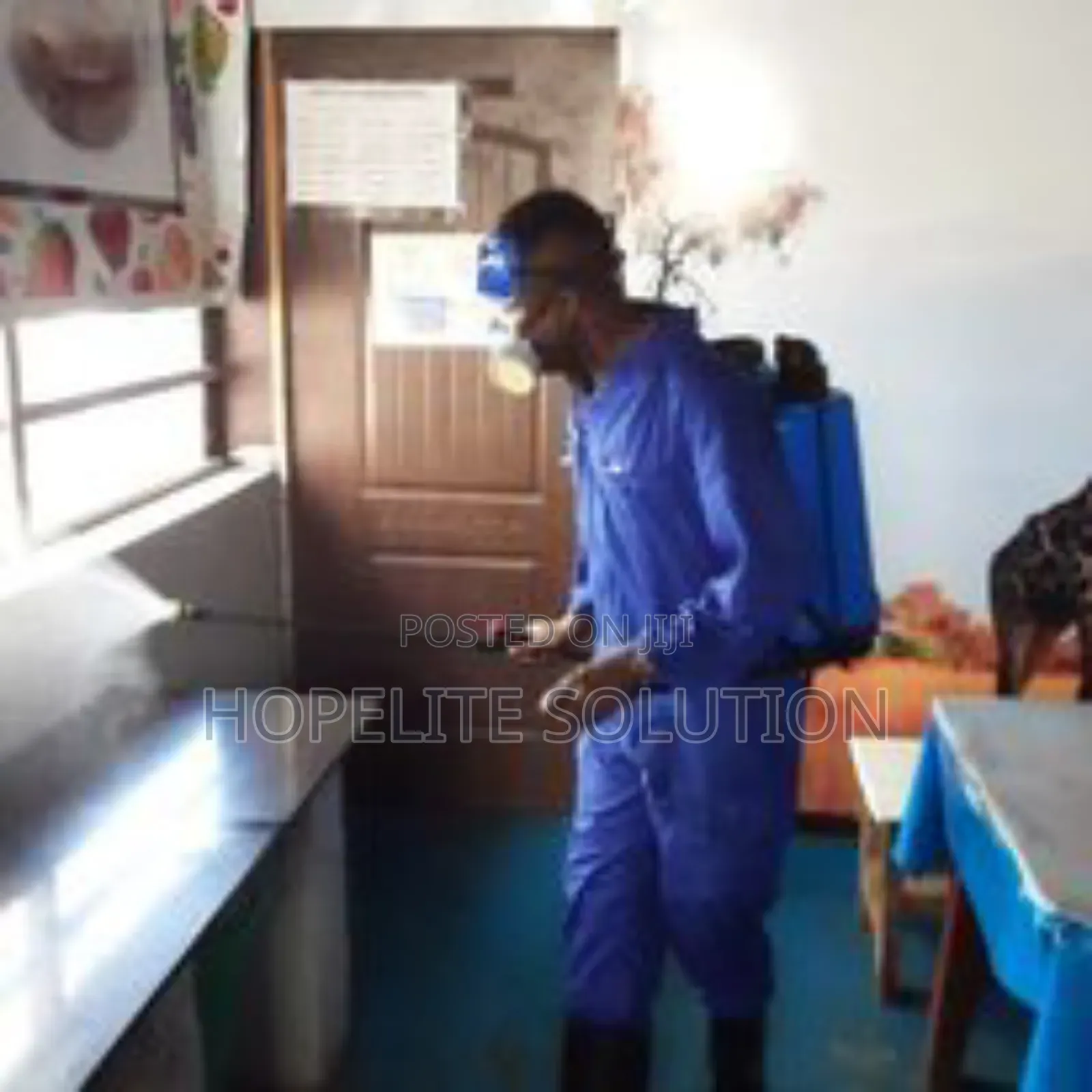 Deep Fumigation Service in Thika