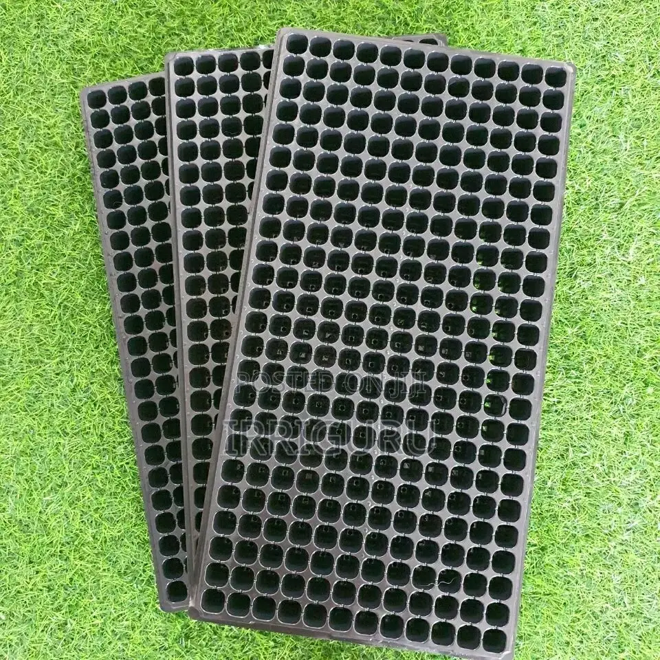 Seedling Tray