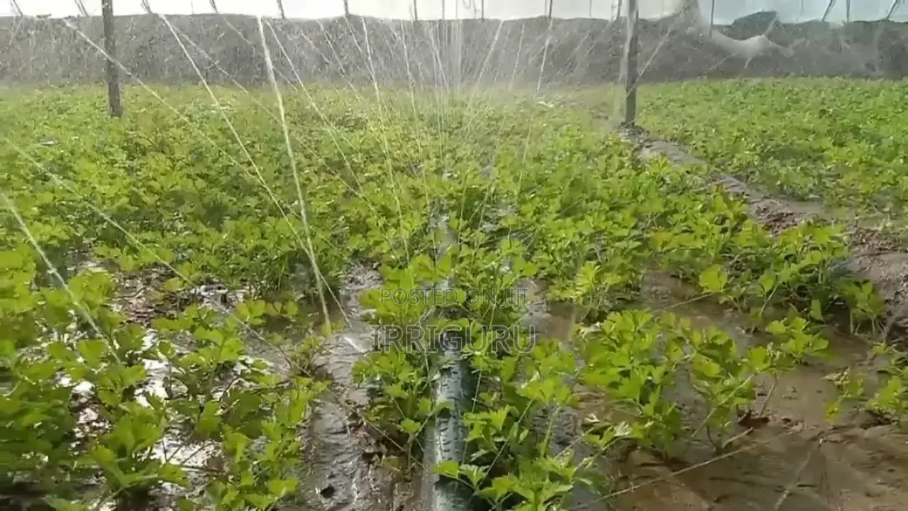 Rainhose Agricultural Micro Spray Irrigation
