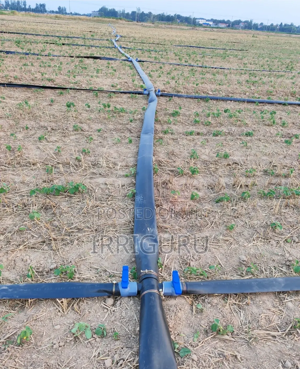 Rainhose Agricultural Micro Spray Irrigation