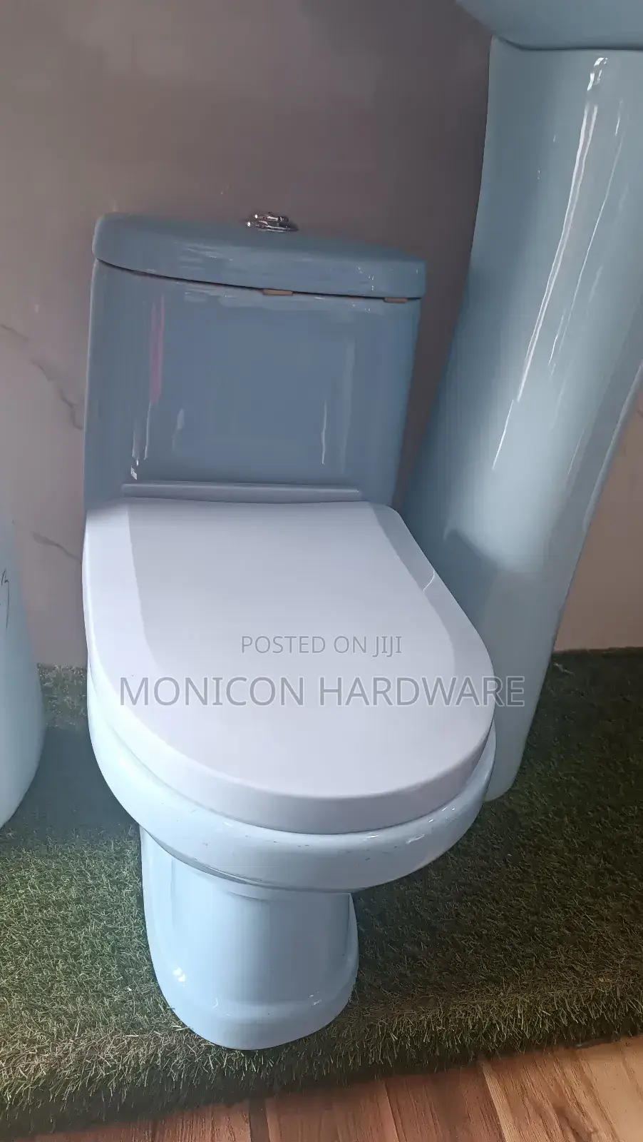 Blue Baby Toilet
