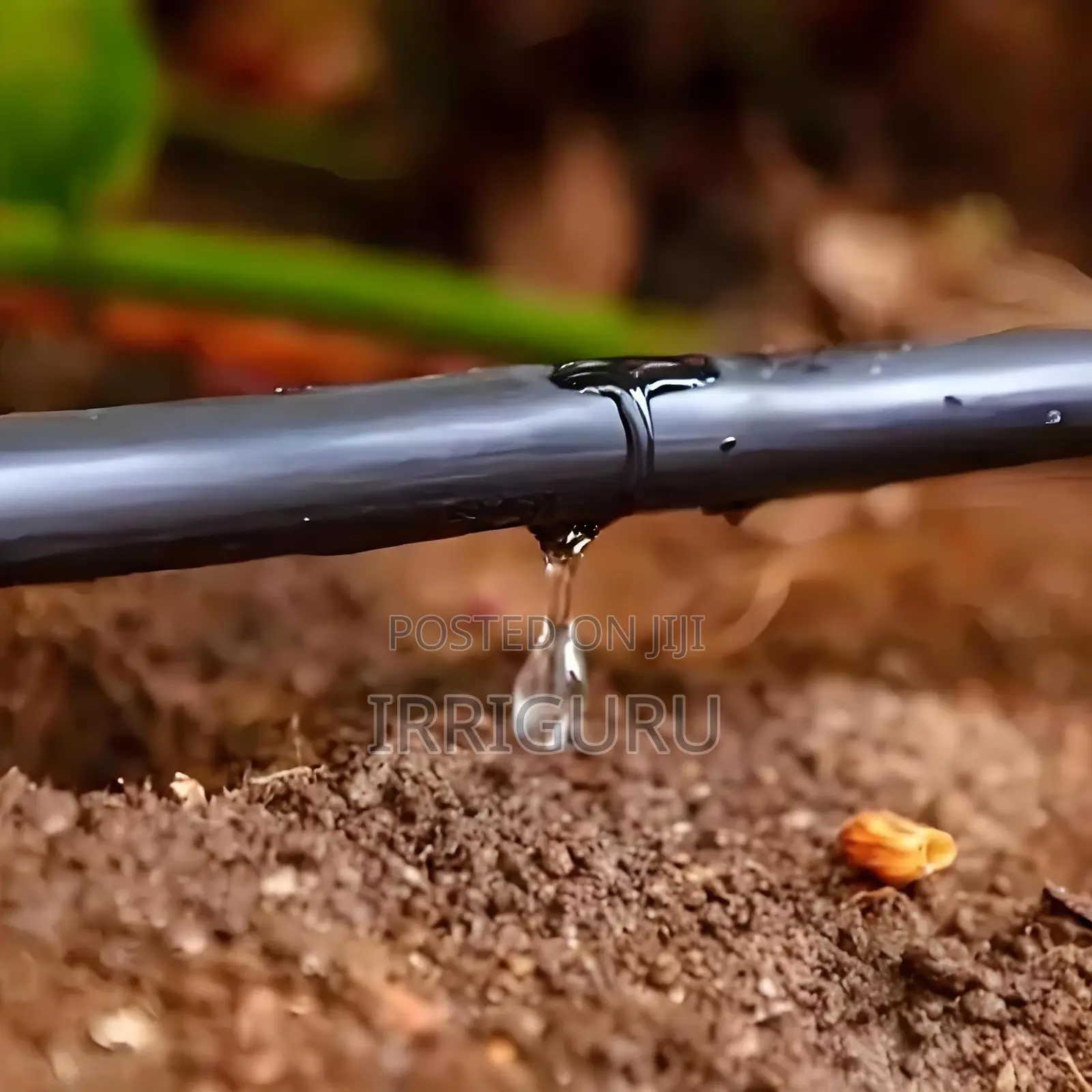 Agricultural Drip Irrigation Beltagricultural Irrigation Pip