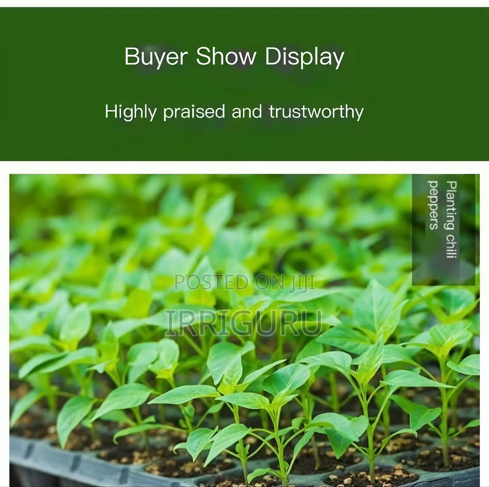 Nursery Traytransplanting Trayplant Planting Trayrecycling