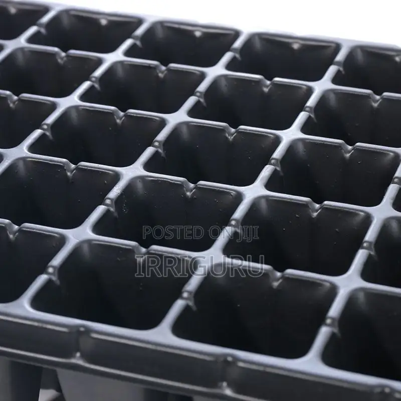 Seedling Tray