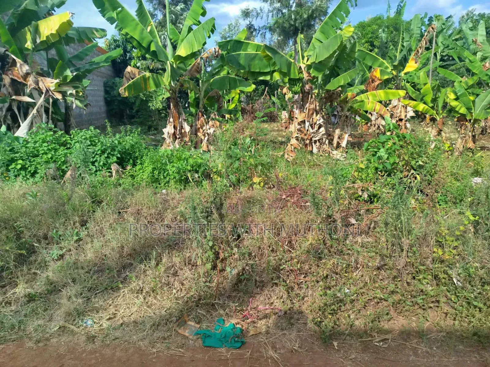 50×100 Plot for Sale in Gitwe, Kutus