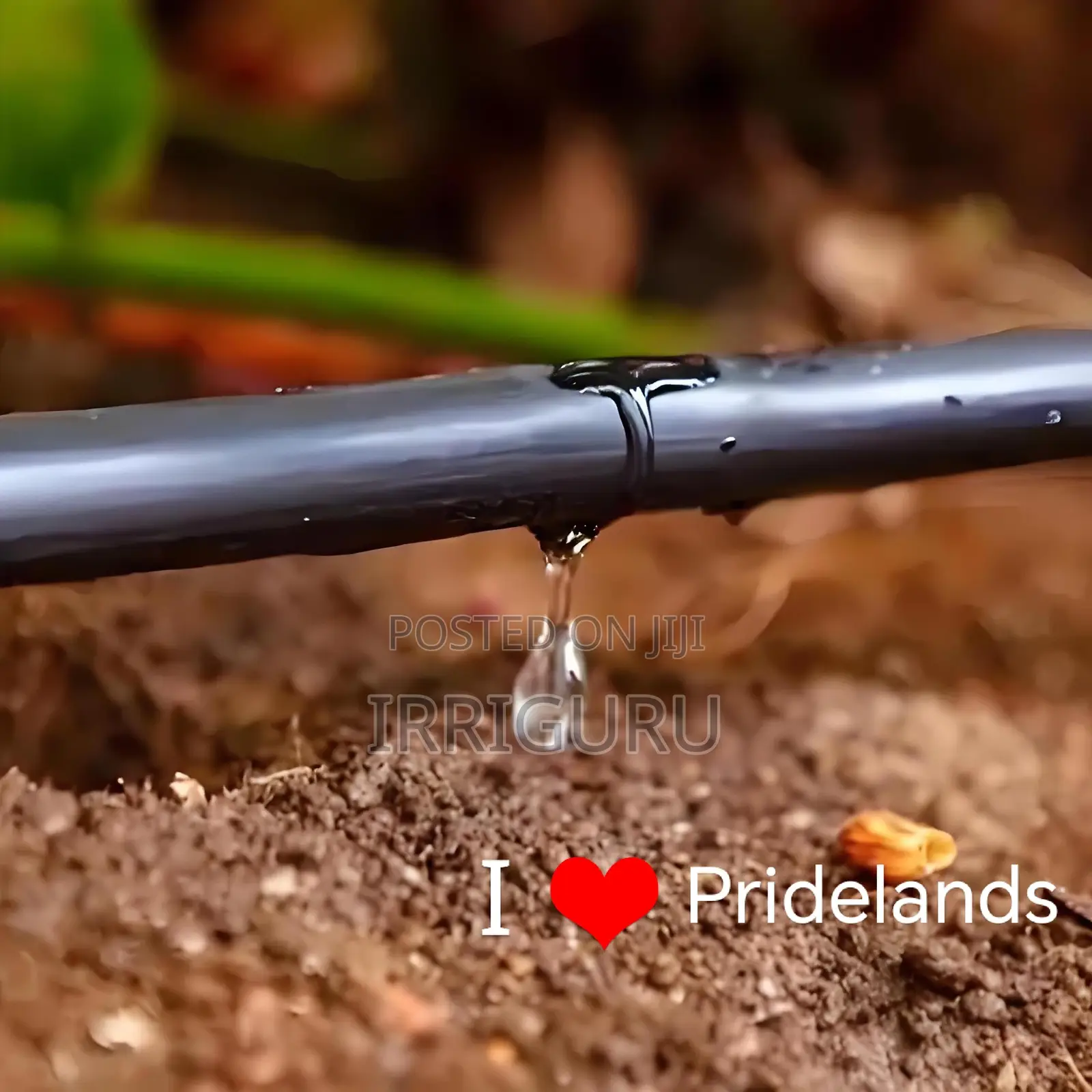 Drip Lines for Irrigation