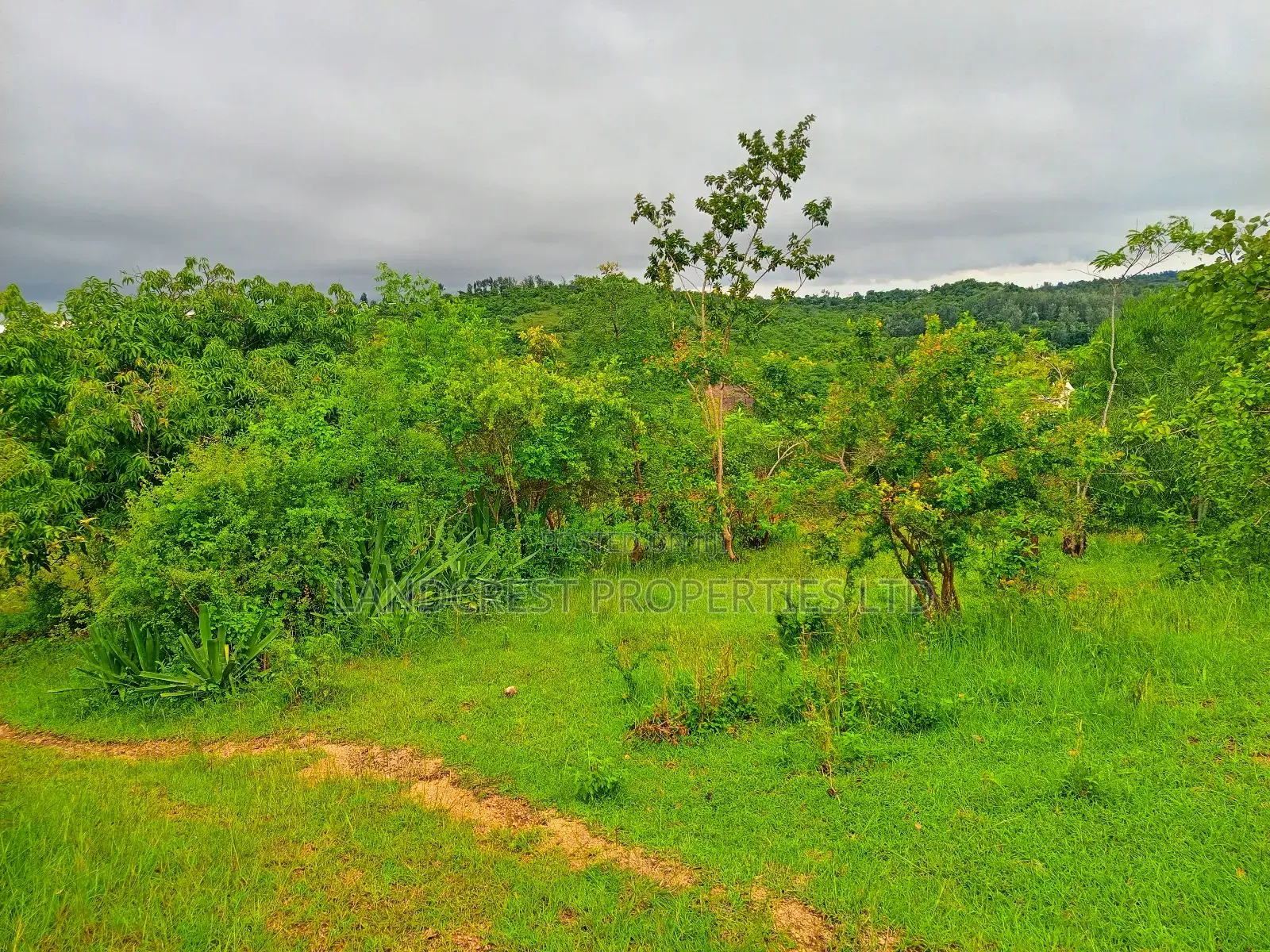 1 Acre for Sale in Kambiti