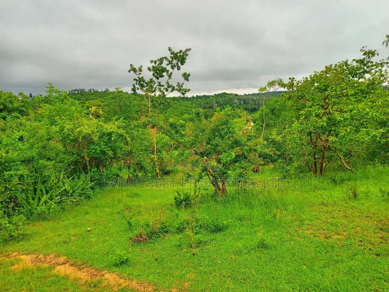 1 Acre for Sale in Kambiti