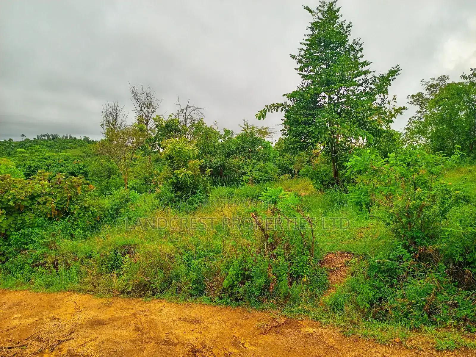 1 Acre for Sale in Kambiti