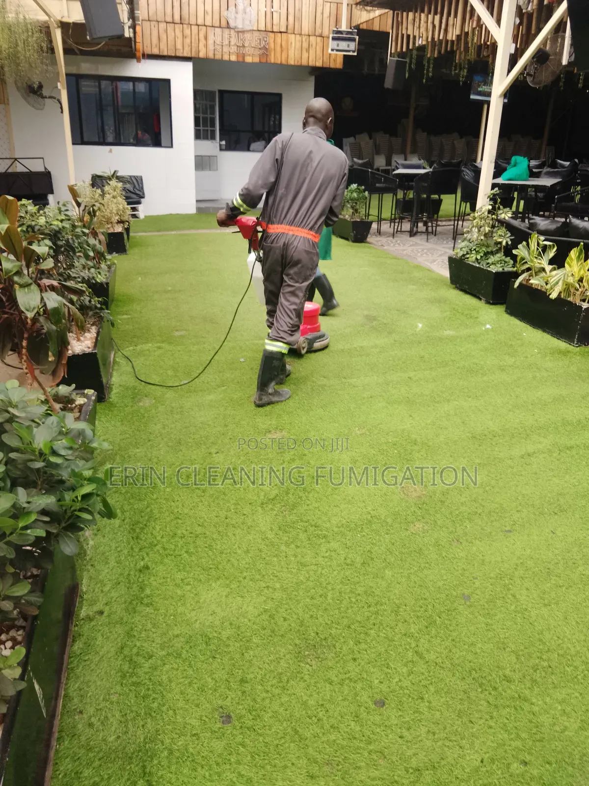 Carpet Grass and Wall Carpet Cleaning