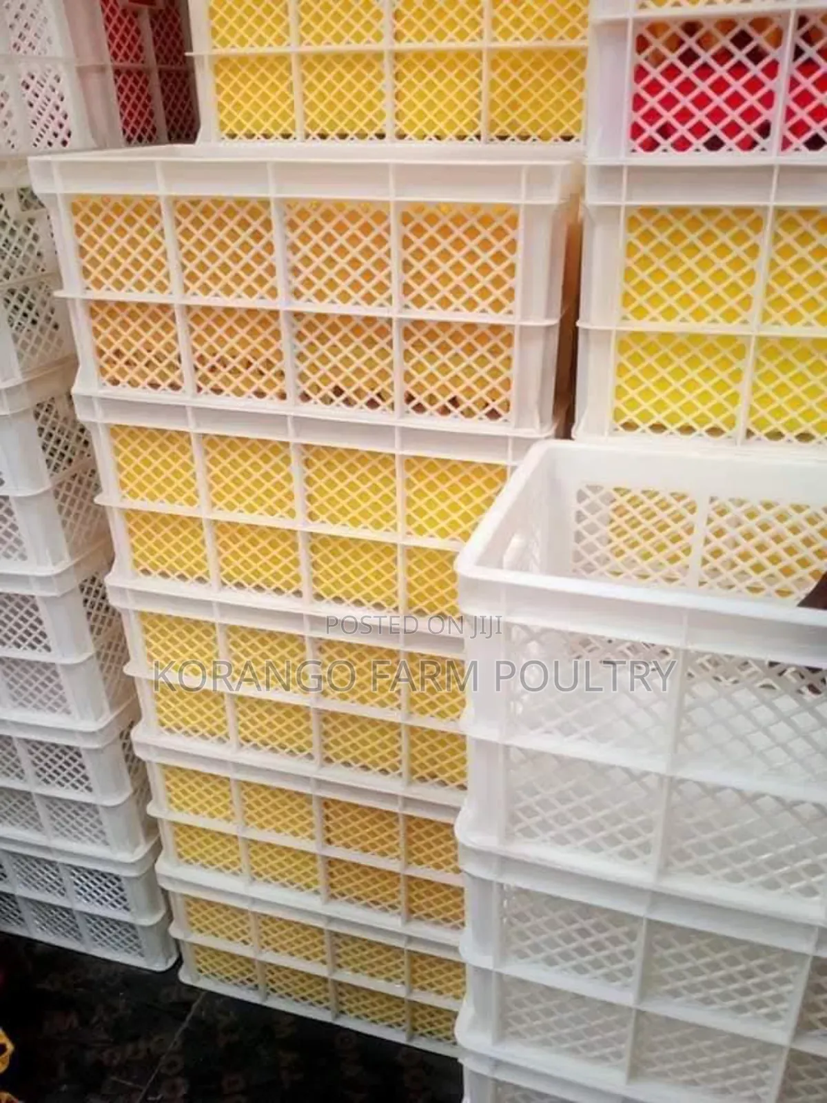 Eggs Transport Crates