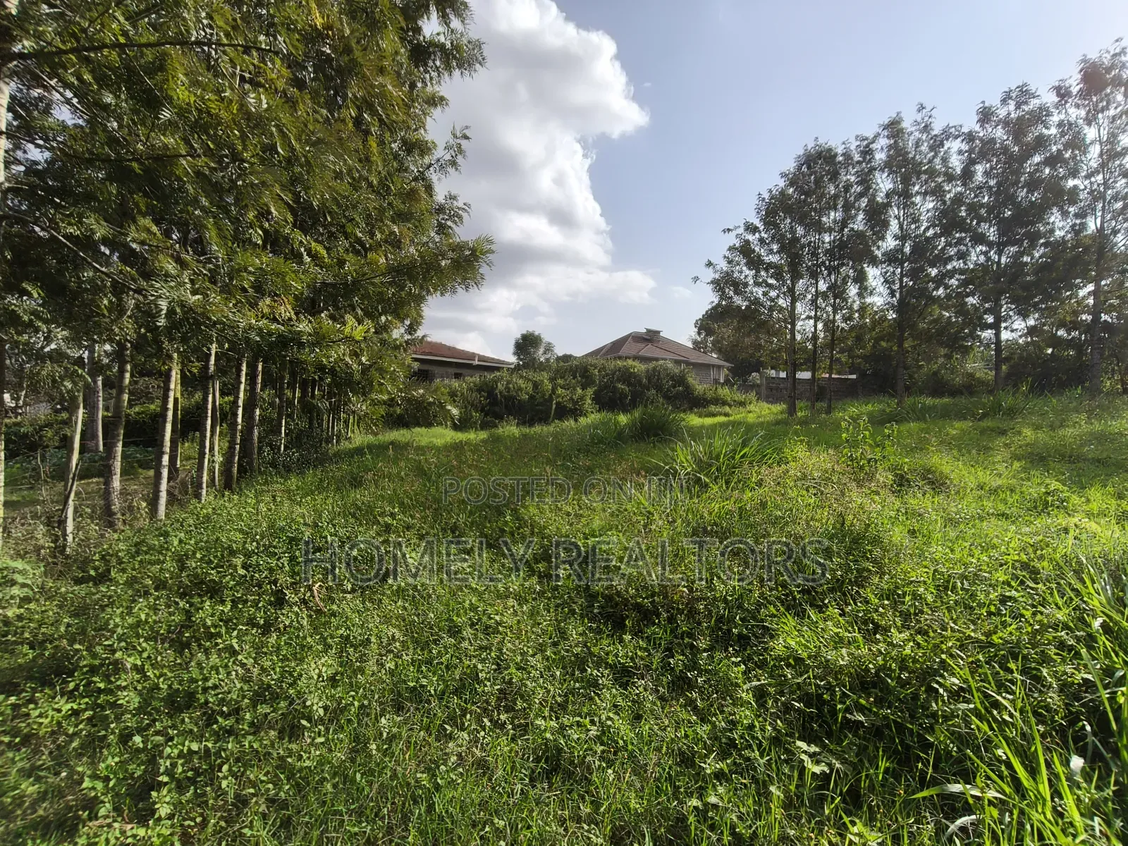 Eighth Acre Plot in Ngong's Ol Keri Near the Tarmac