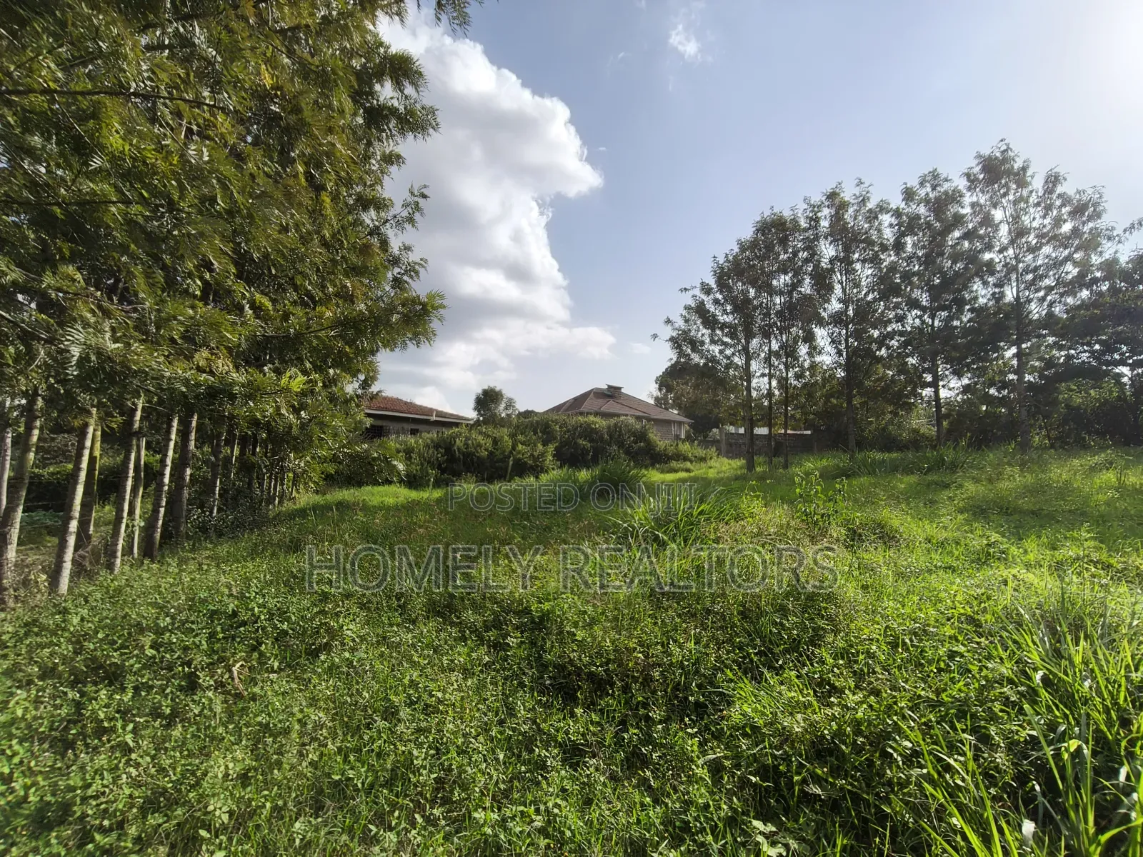 Eighth Acre Plot in Ngong's Ol Keri Near the Tarmac
