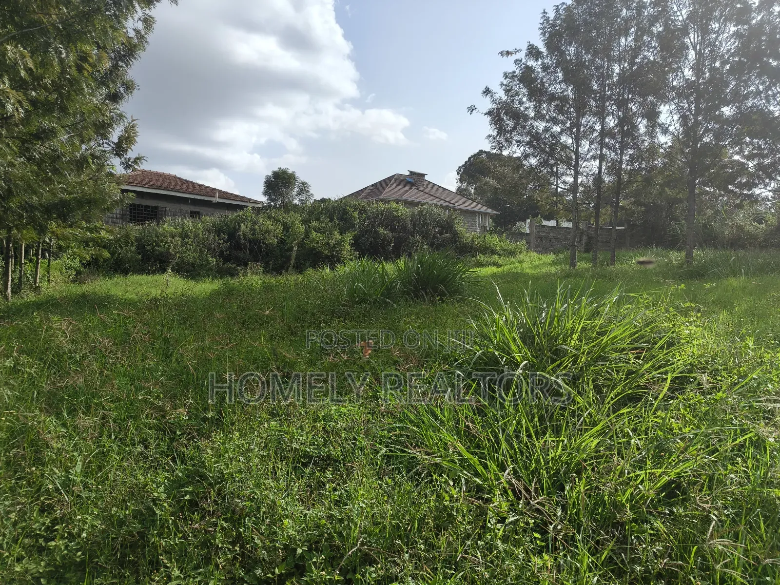 Eighth Acre Plot in Ngong's Ol Keri Near the Tarmac