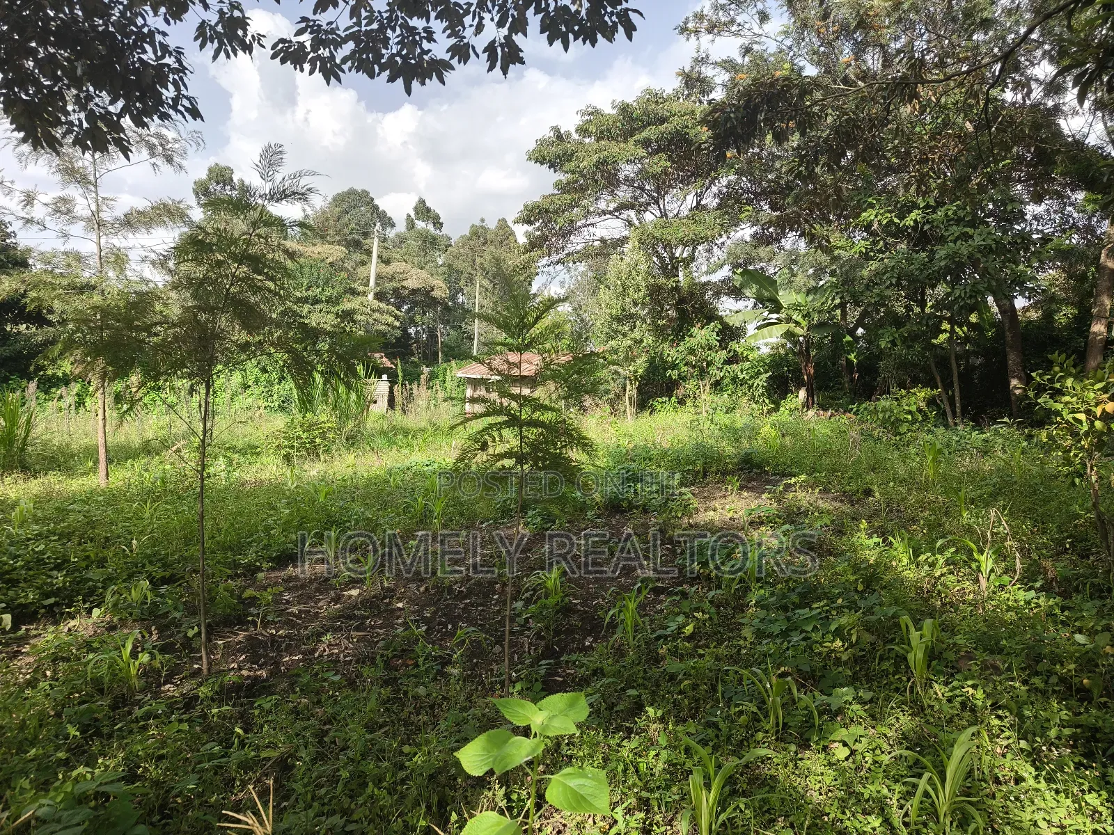 Half Acre Plot on Sale in Ngong, Ol Keri With Good View