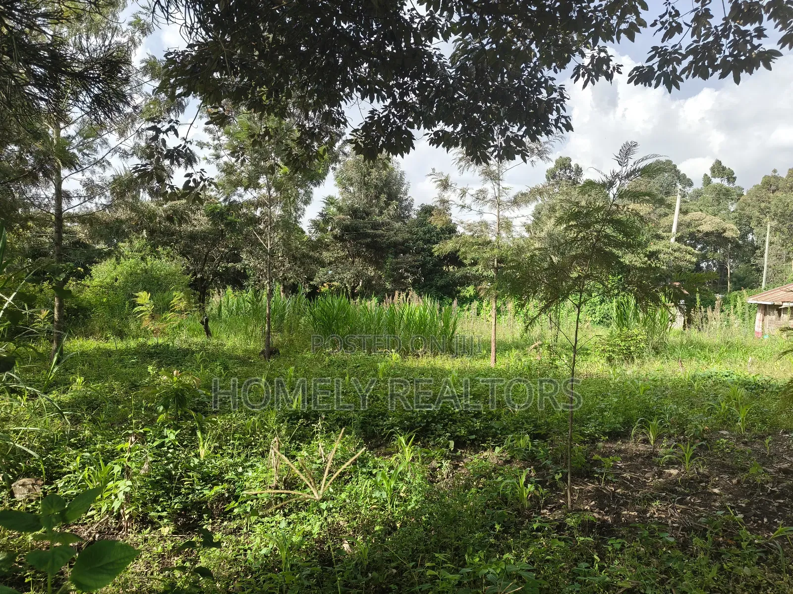 Half Acre Plot on Sale in Ngong, Ol Keri With Good View