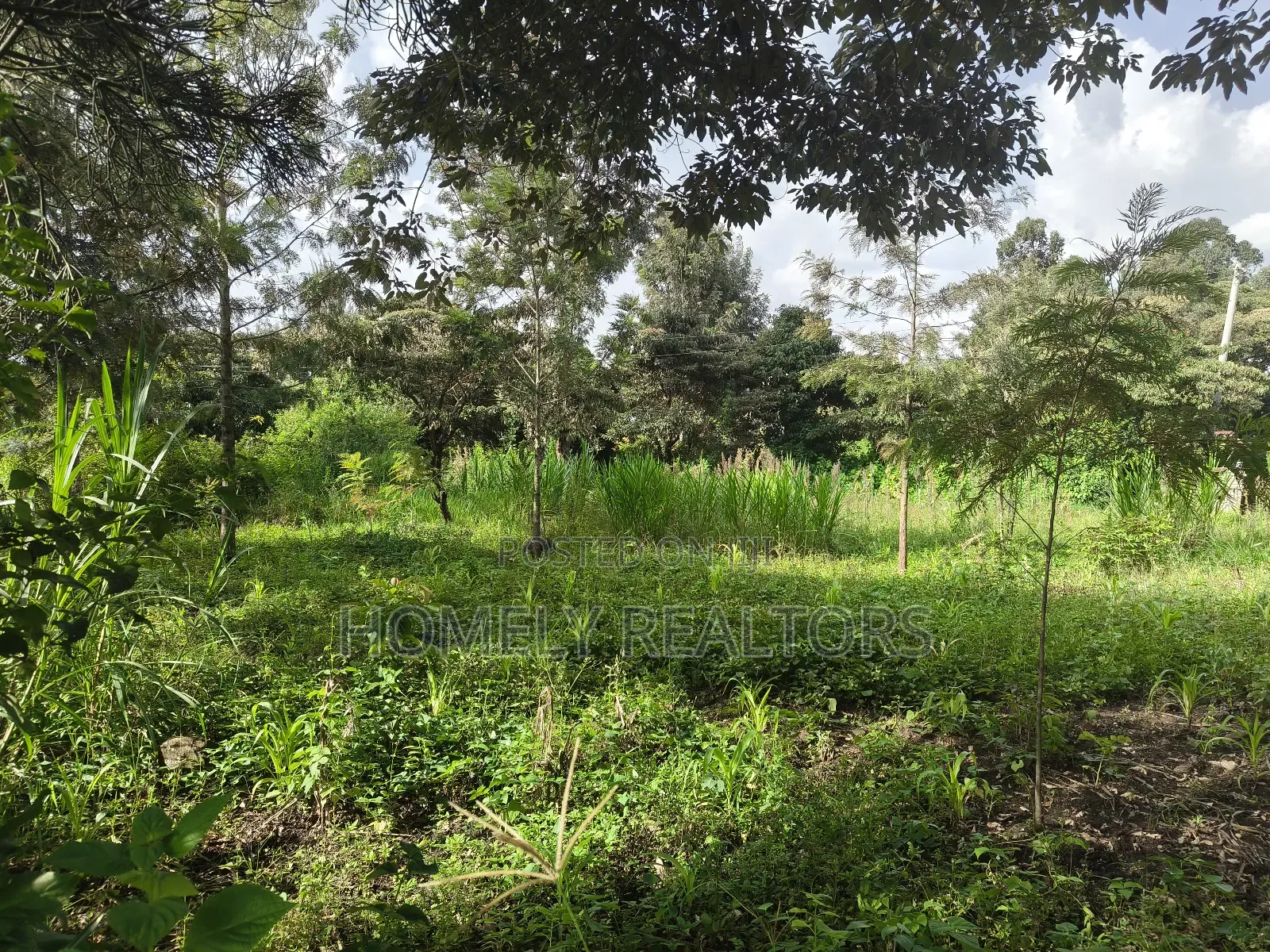 Half Acre Plot on Sale in Ngong, Ol Keri With Good View