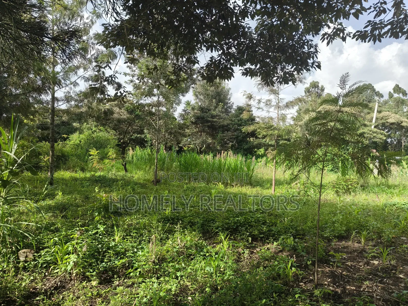 Half Acre Plot on Sale in Ngong, Ol Keri With Good View