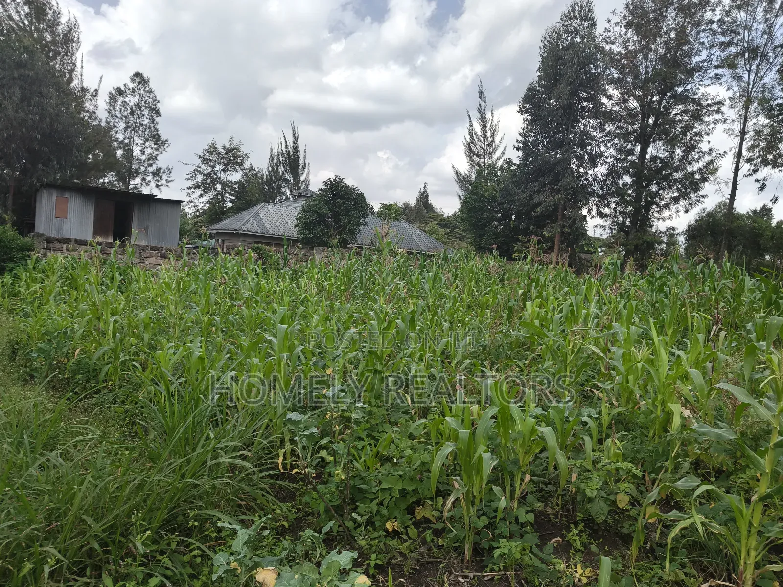Quarter Acre Plot on Sale in Ngong, Ol Keri With a Good View