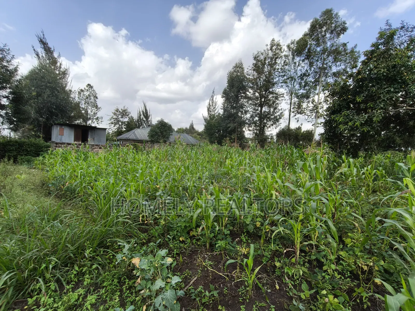 Quarter Acre Plot on Sale in Ngong, Ol Keri With a Good View