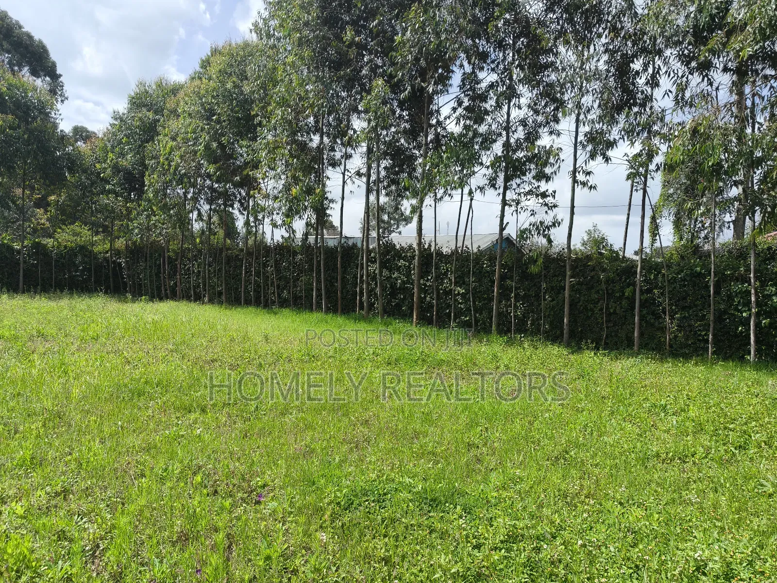 Half Acre Plot in Ngong, Memusi, Good for Residential Homes