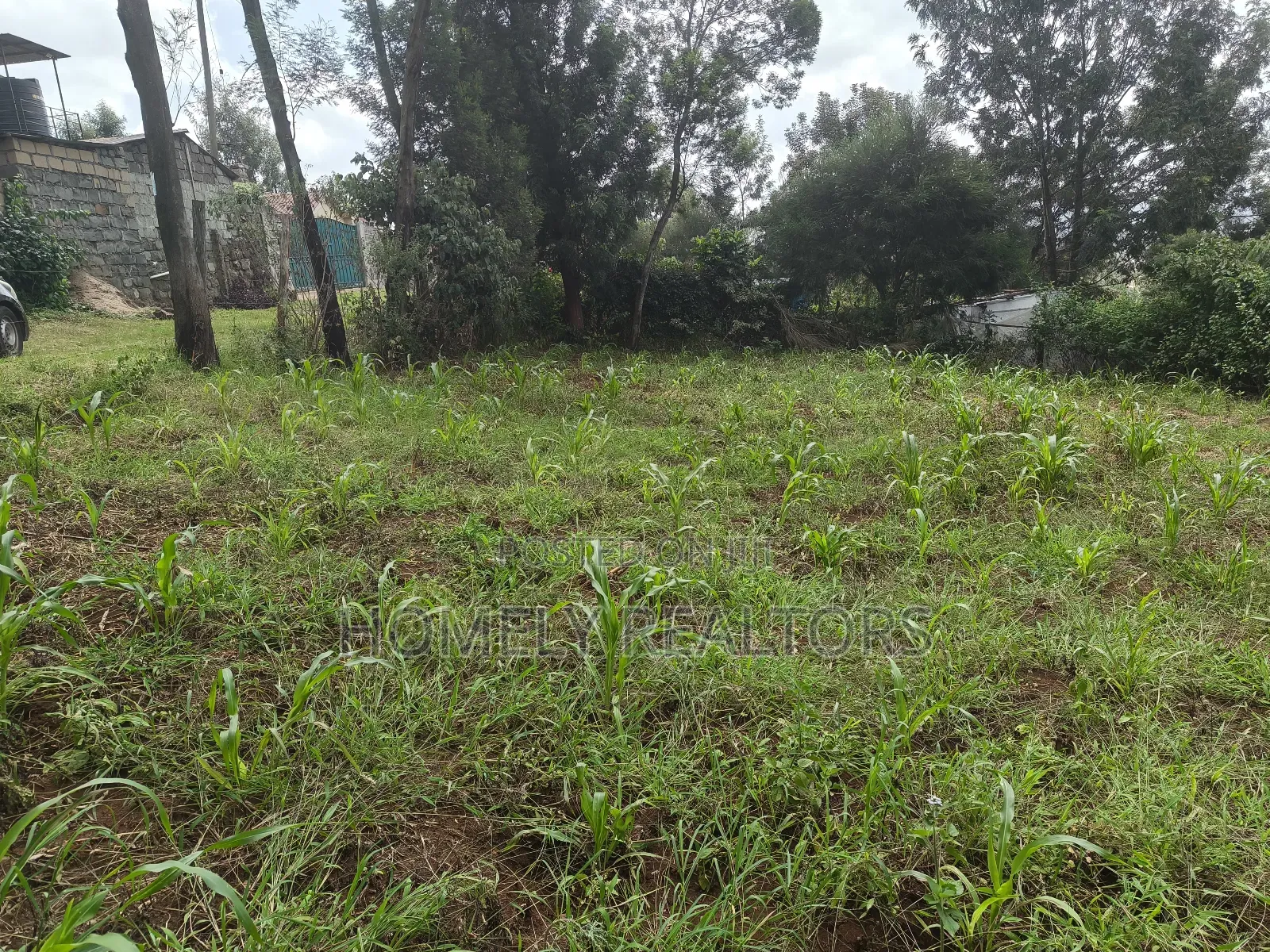 Eighth Acre Plot in Ngong, Matasia. Red Soil With Good View