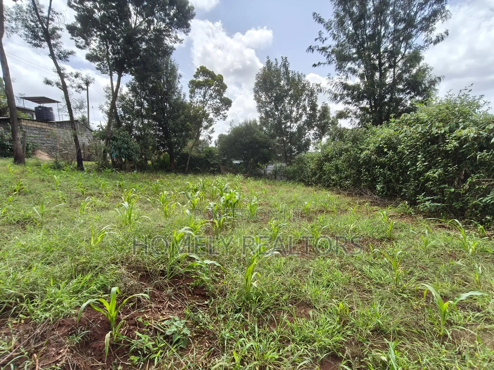 Eighth Acre Plot in Ngong, Matasia. Red Soil With Good View