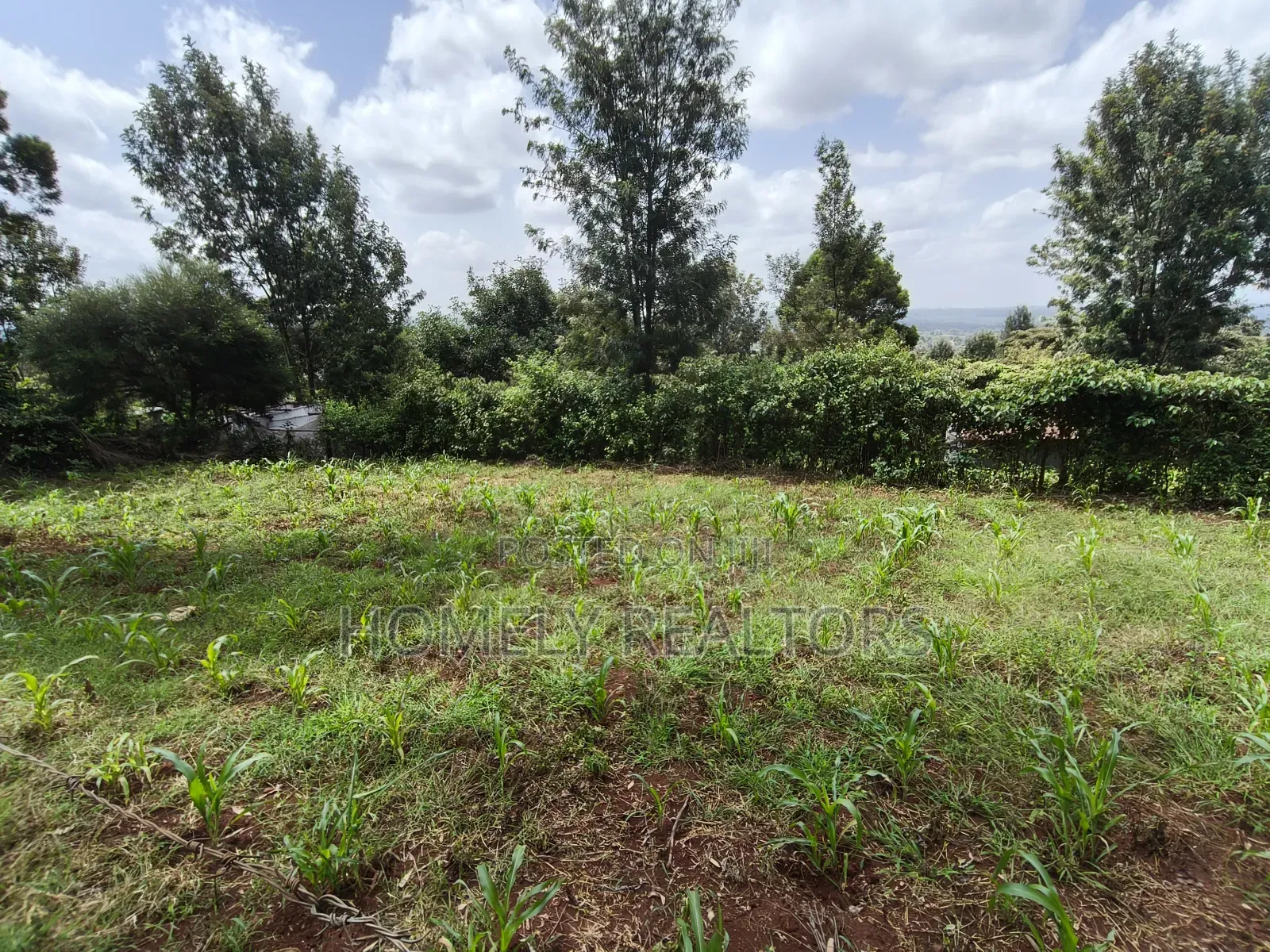Eighth Acre Plot in Ngong, Matasia. Red Soil With Good View
