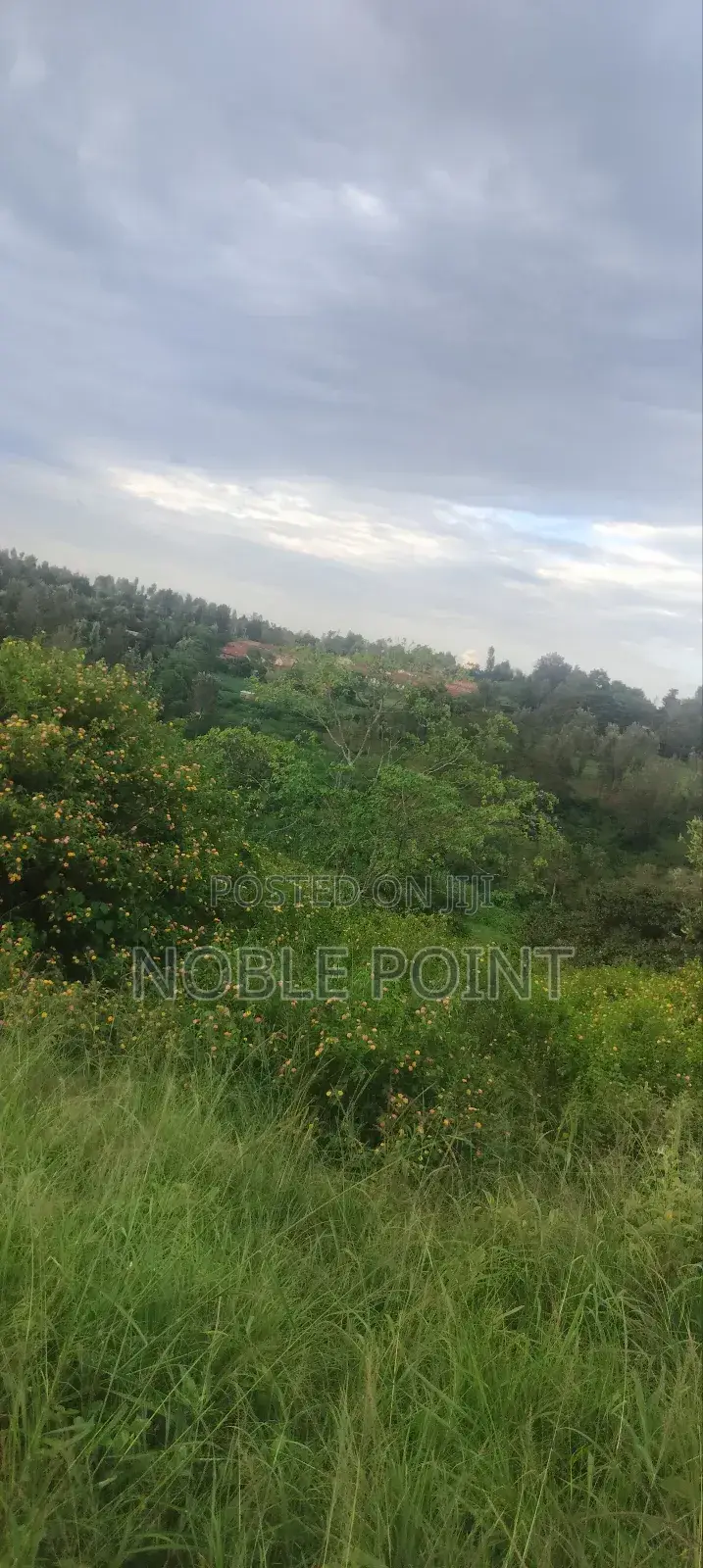 Plots on Sale