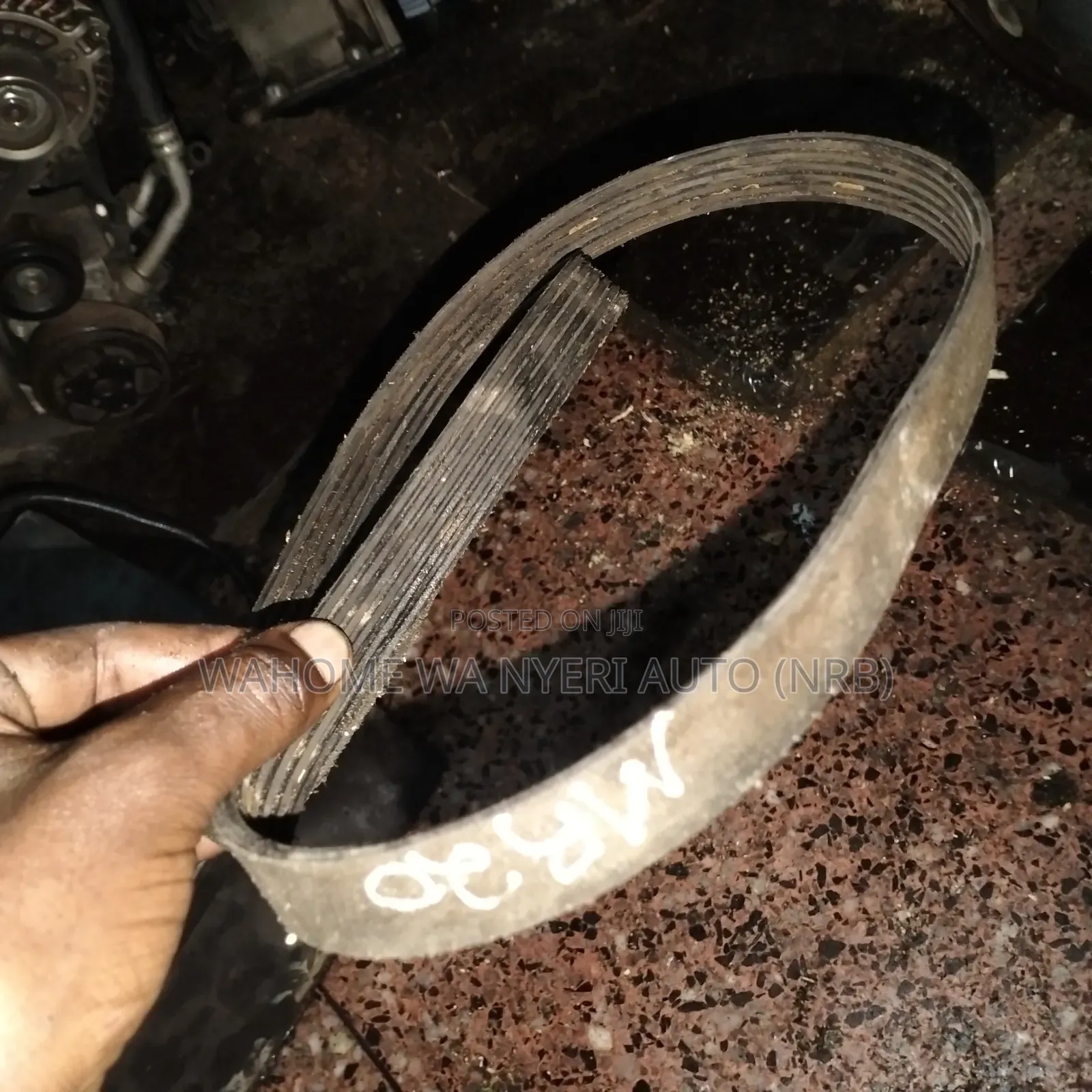 Timing Belt Nissan Extrail,Dualis,Serena Mr20