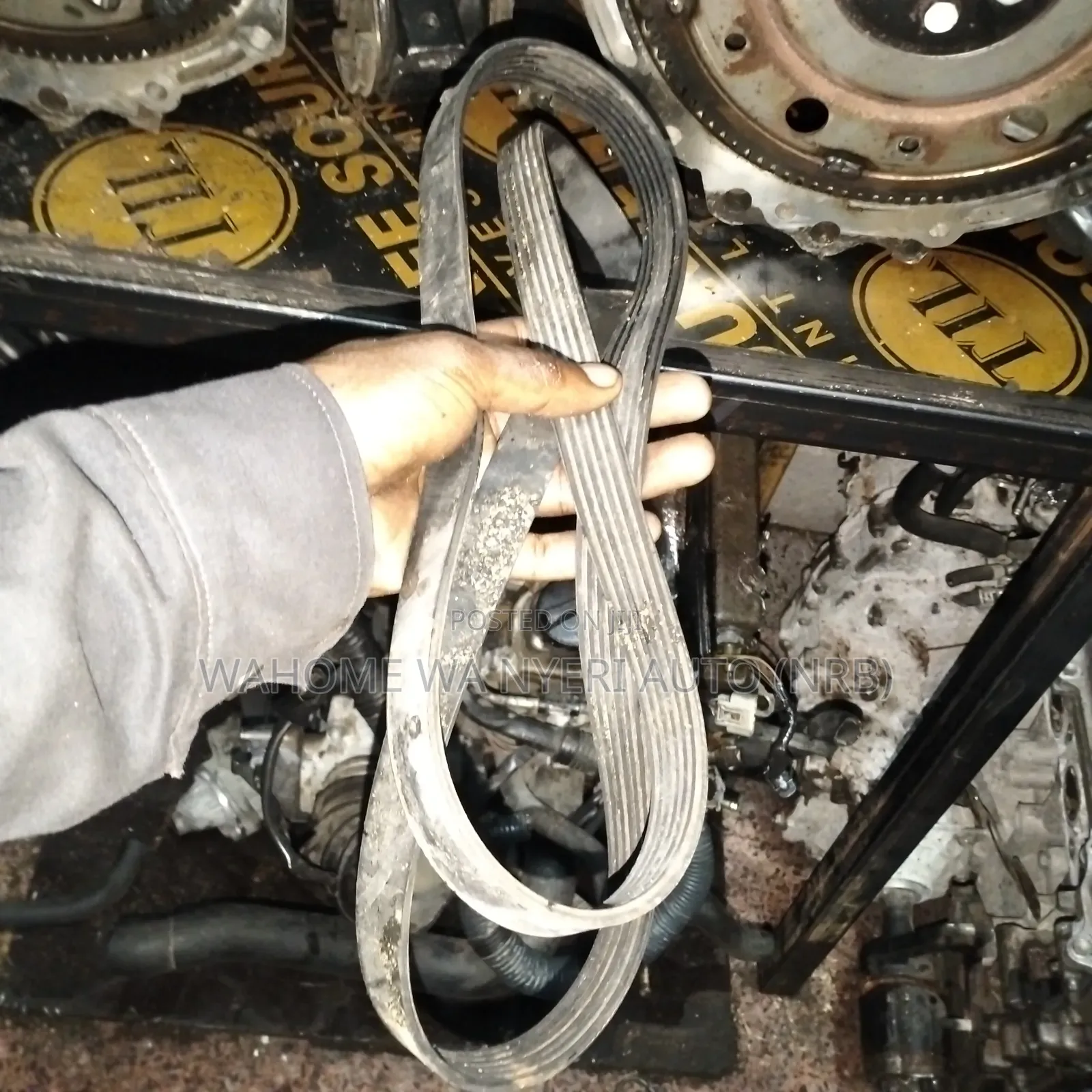 Timing Belt Wish,Premio 1zz