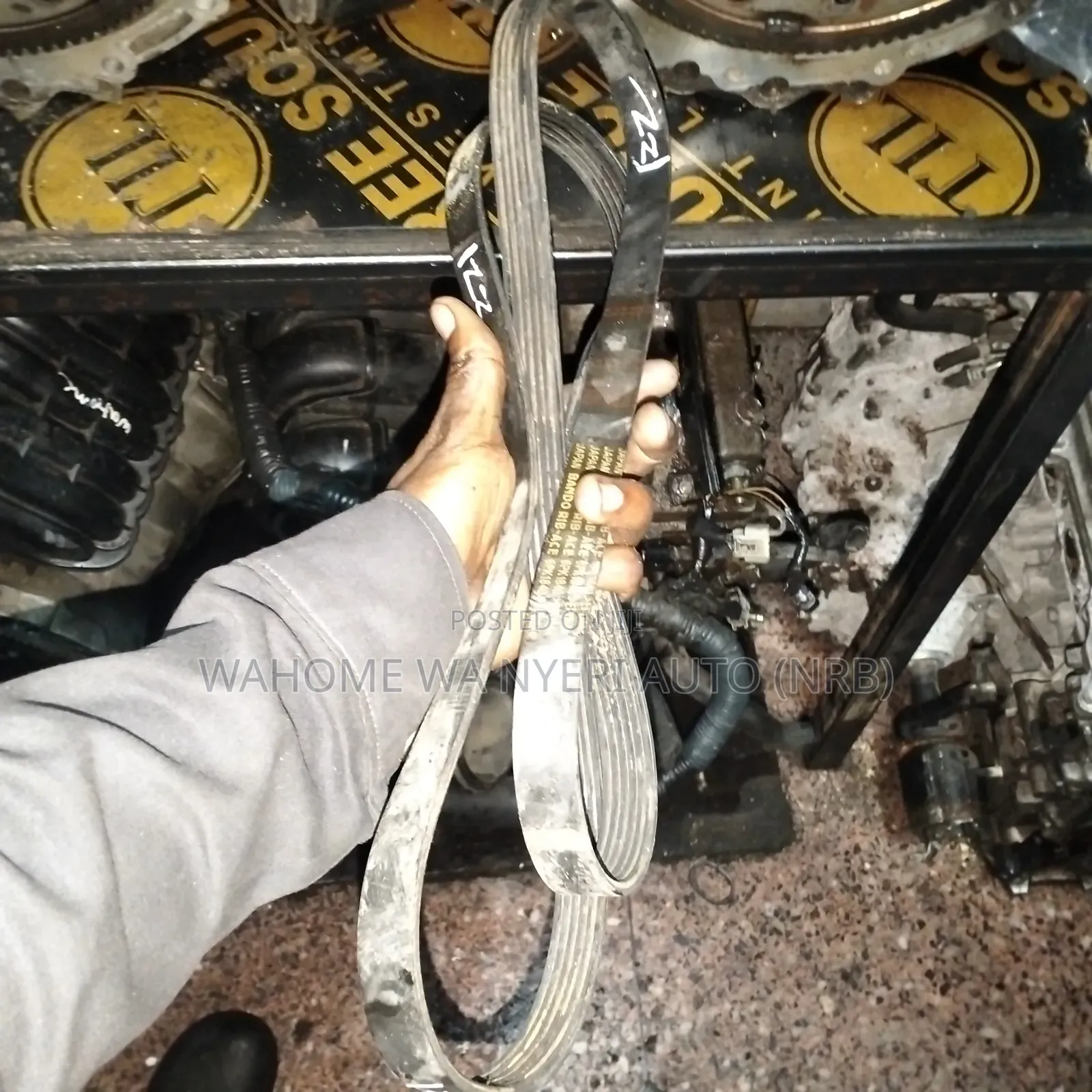 Timing Belt Wish,Premio 1zz