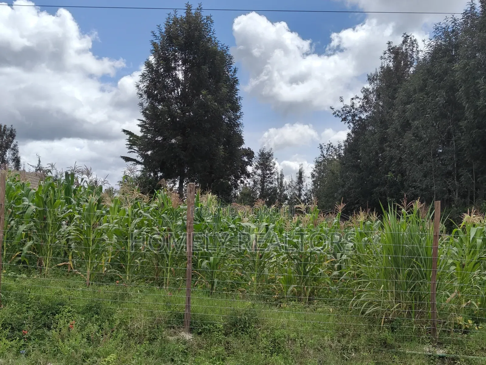 Half Acre Plot in Ngong, Along Merisho Rd, Touching Tarmac