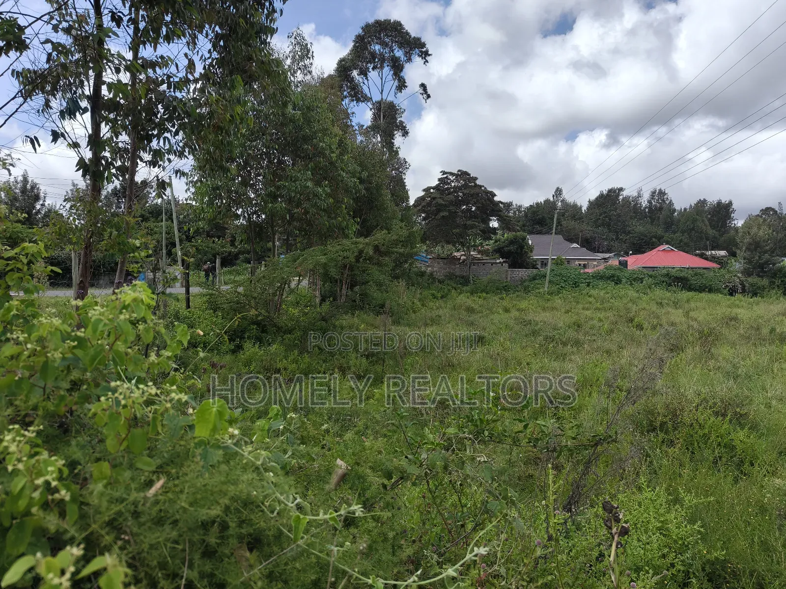 Quarter Acre Plot in Ngong, Ol Keri Touching Olkeri Tarmac